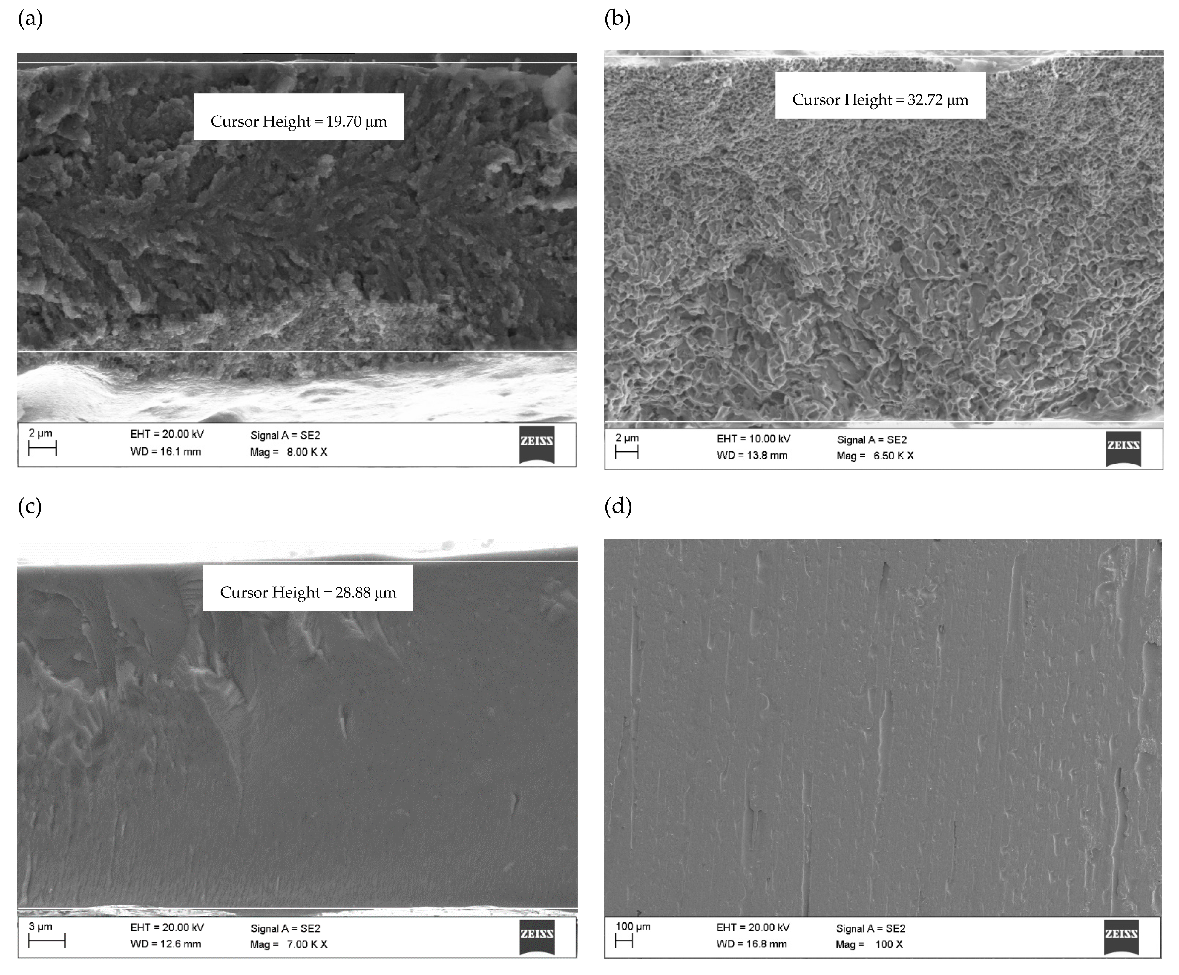 Magnetochemistry 07 00129 g004