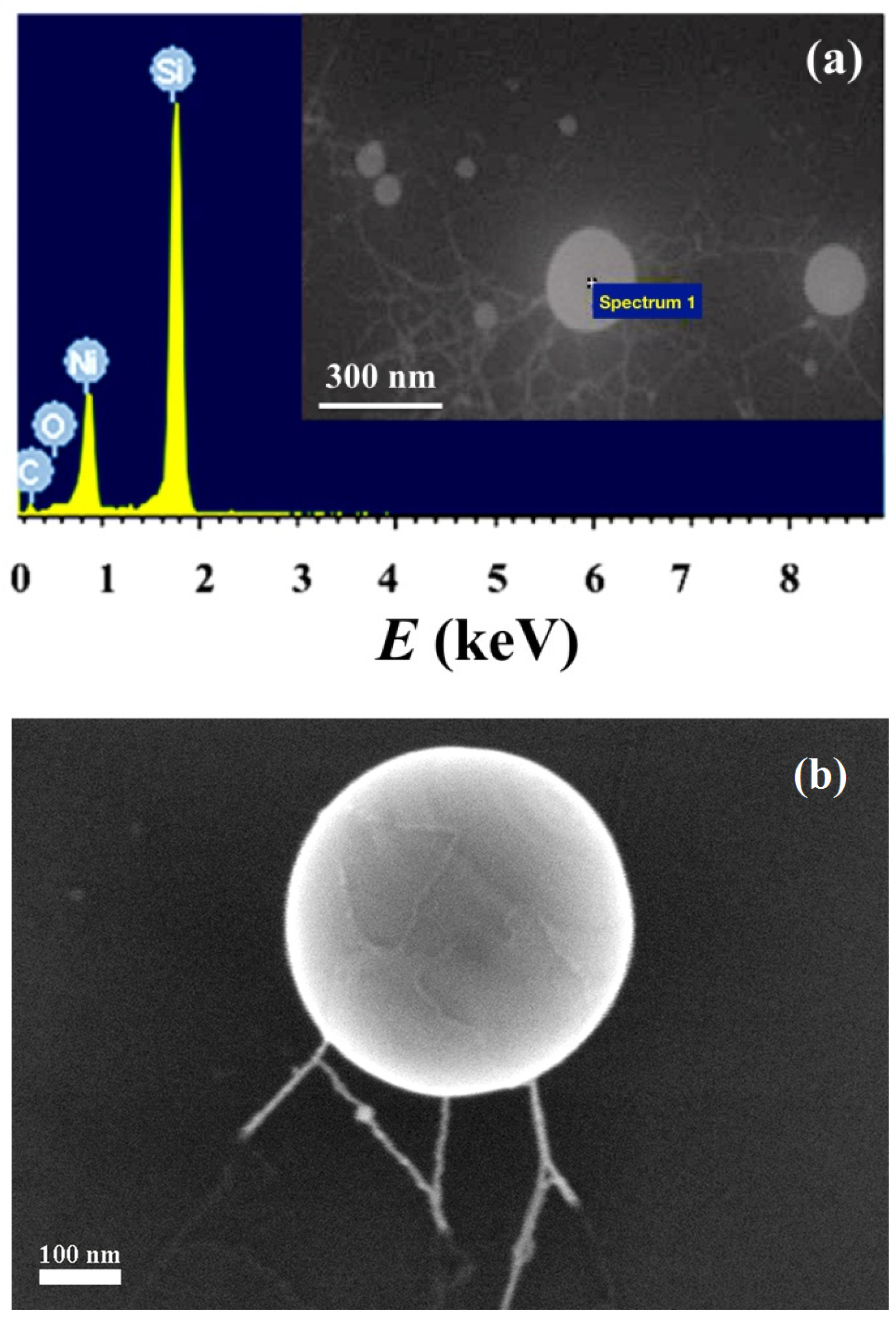 Magnetochemistry 07 00139 g002 550