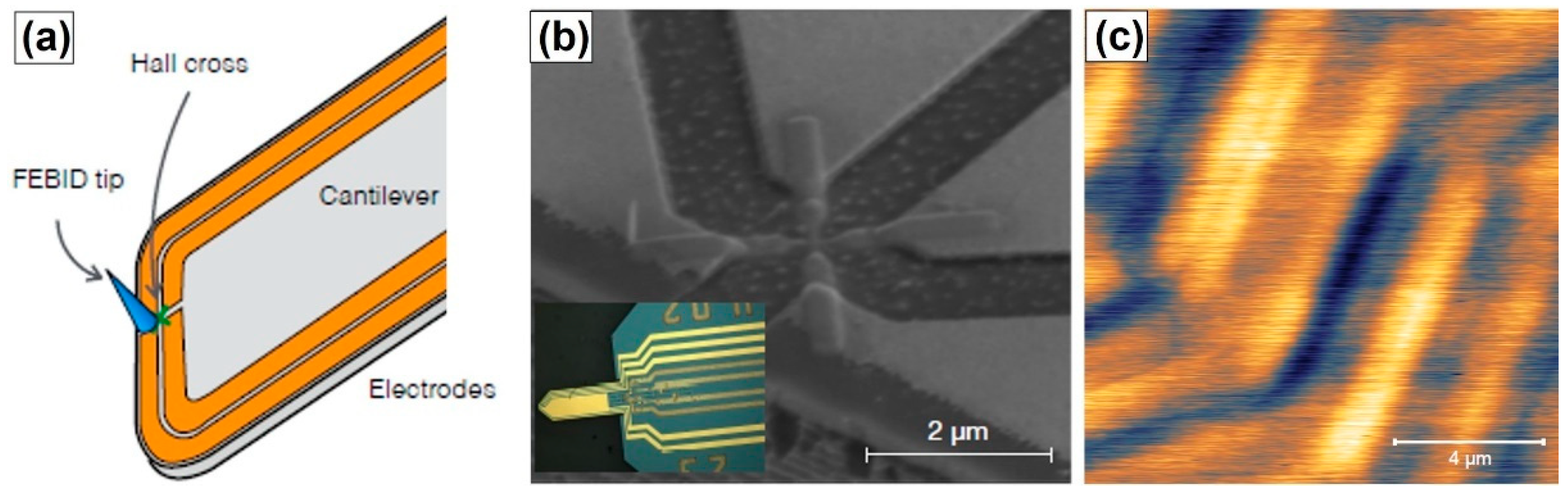 Magnetochemistry 07 00140 g010 Magnetochemistry 07 00140 g010