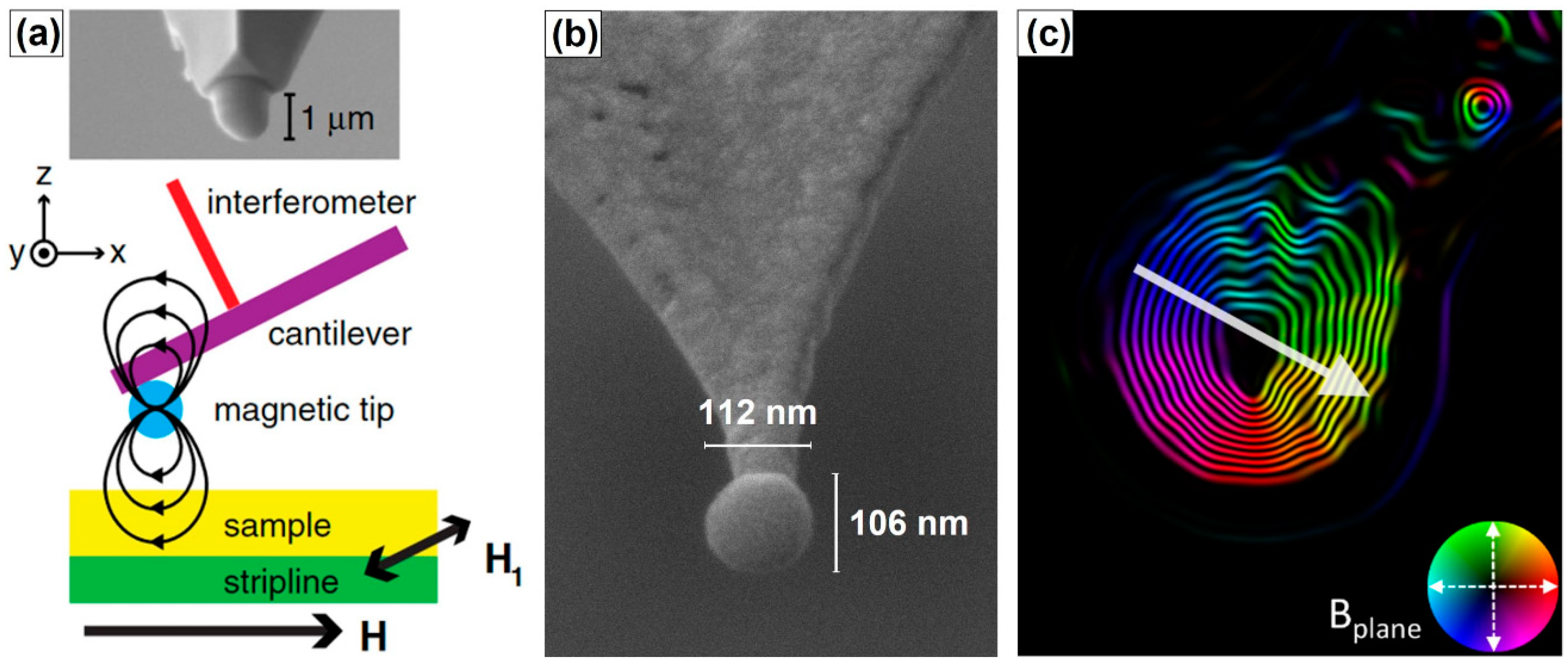 Magnetochemistry 07 00140 g011 Magnetochemistry 07 00140 g011
