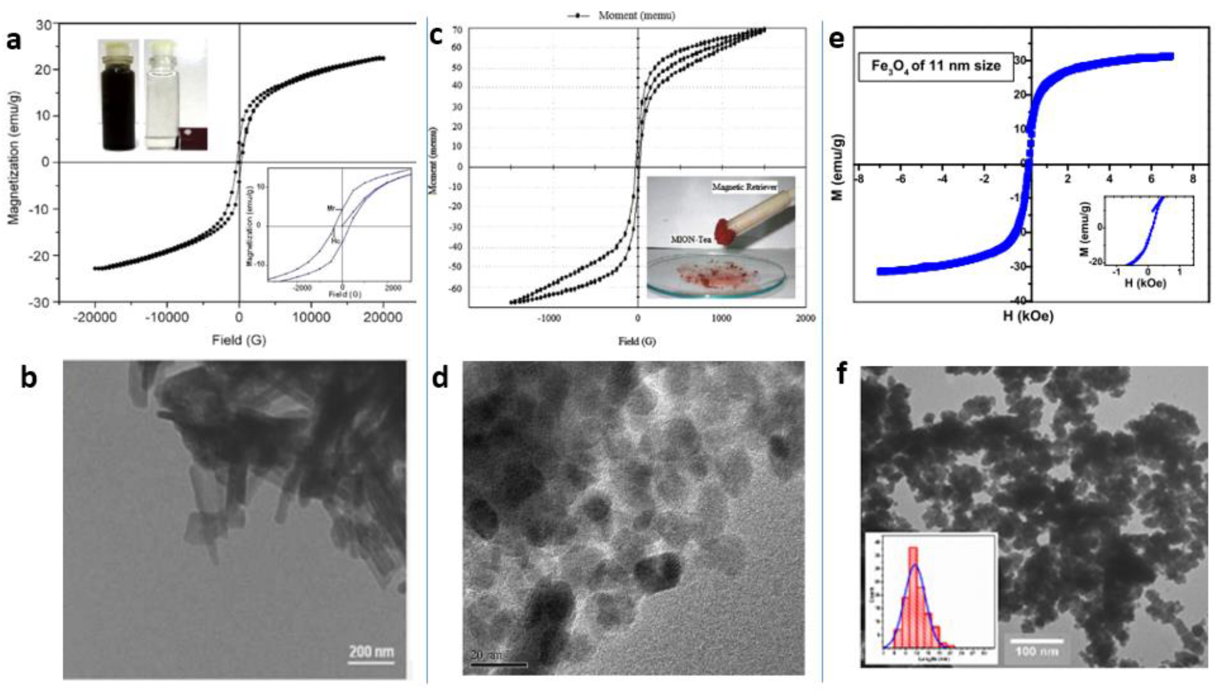Magnetochemistry 07 00145 g006 Magnetochemistry 07 00145 g006