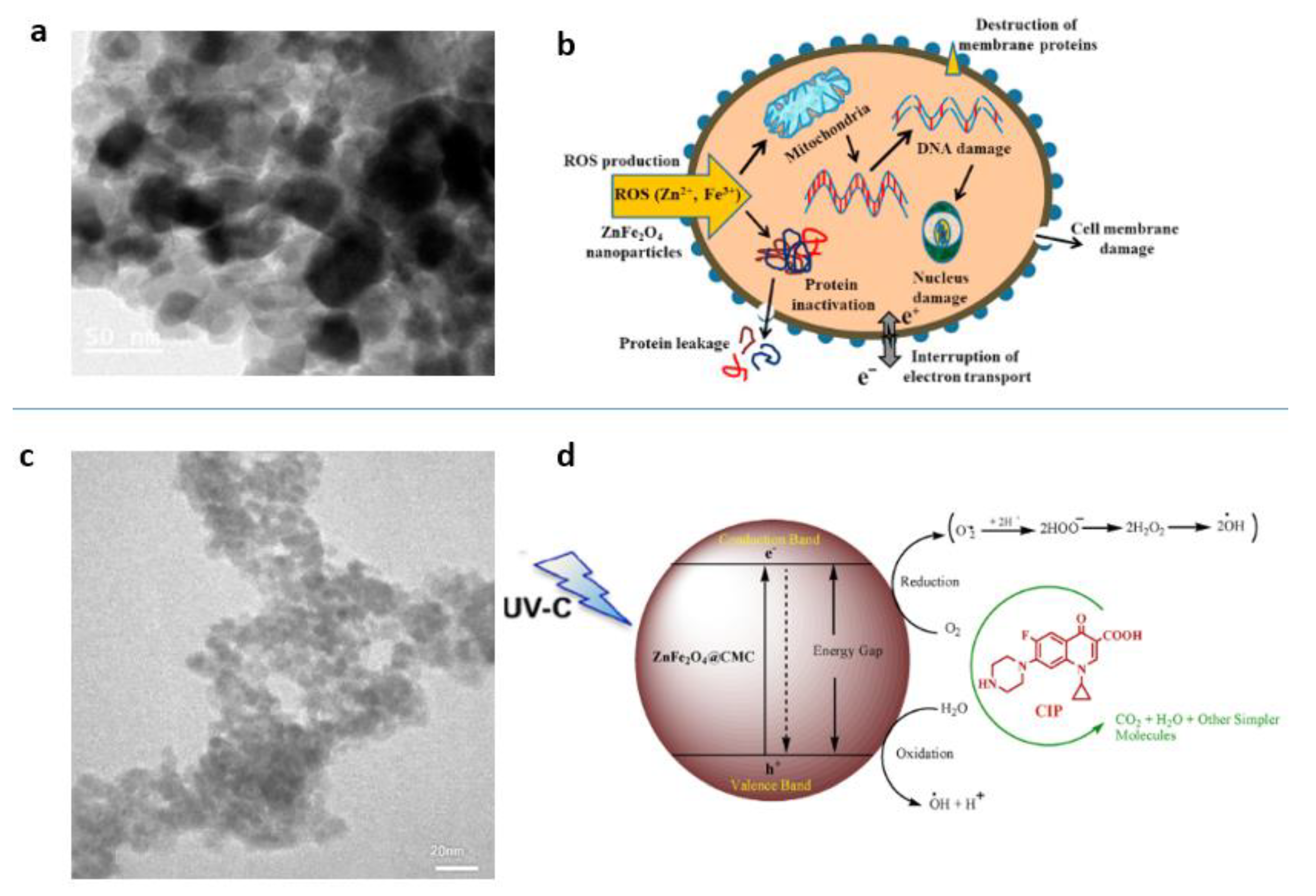 Magnetochemistry 07 00145 g009 Magnetochemistry 07 00145 g009