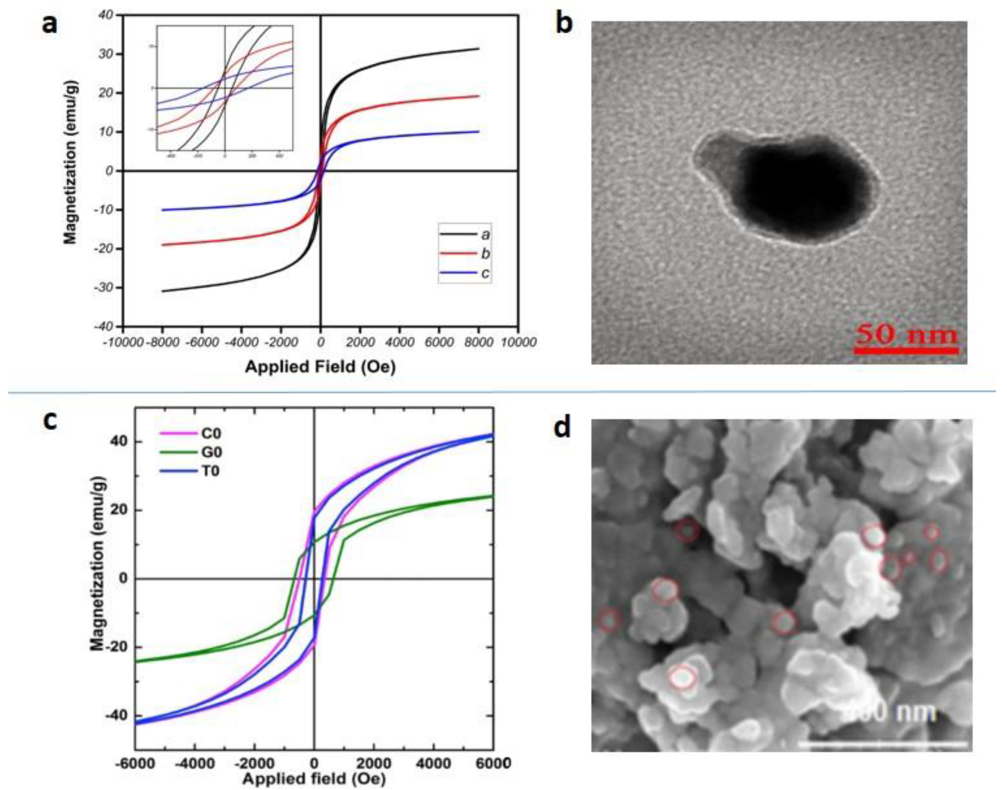 Magnetochemistry 07 00145 g010 Magnetochemistry 07 00145 g010