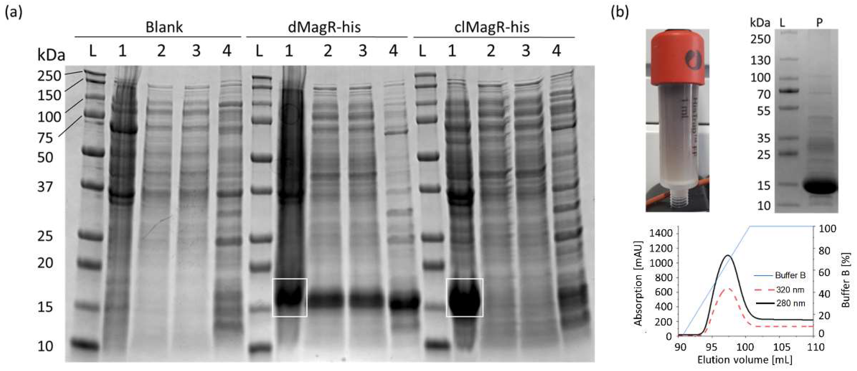 Magnetochemistry 07 00147 g001