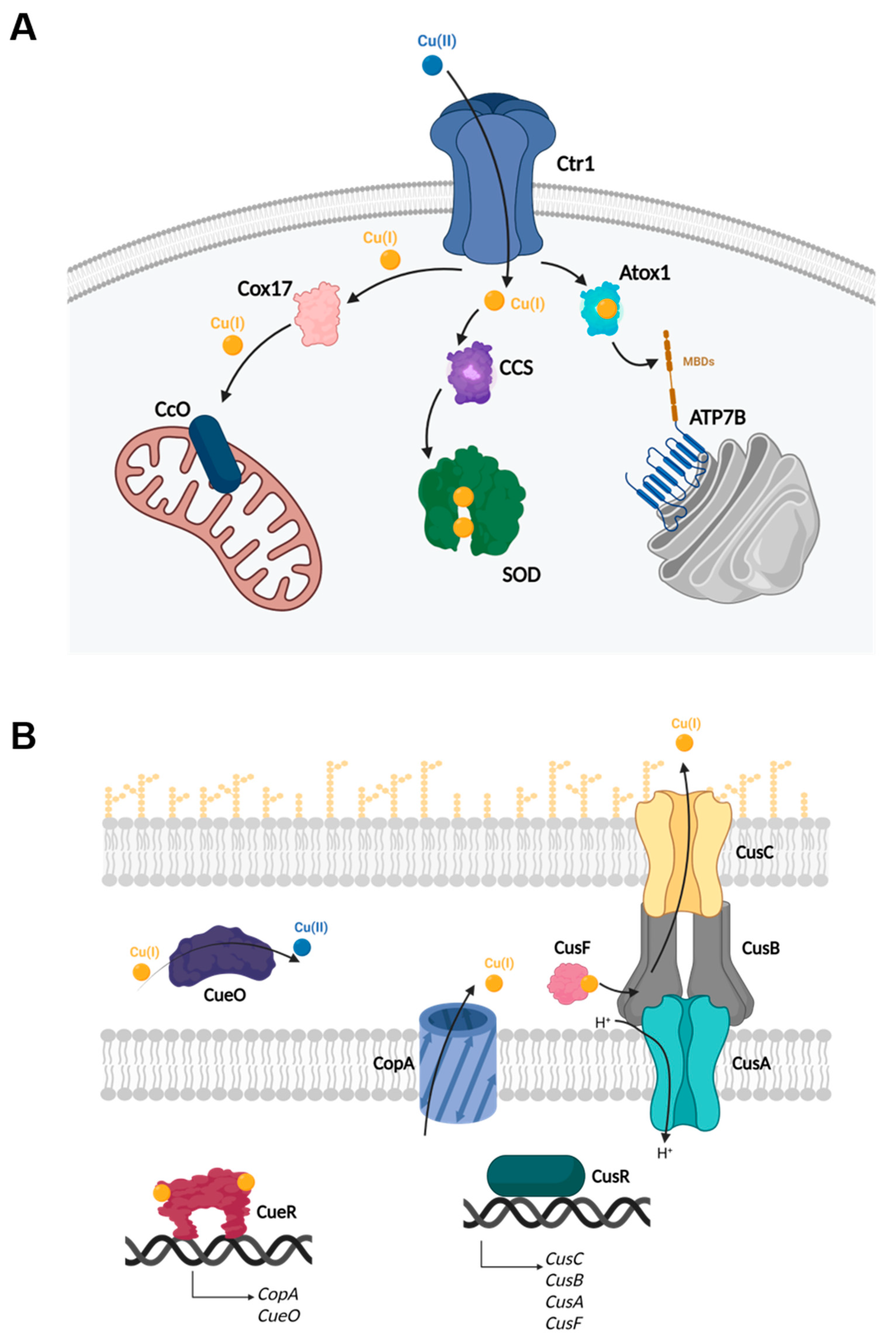 Magnetochemistry 08 00003 g001