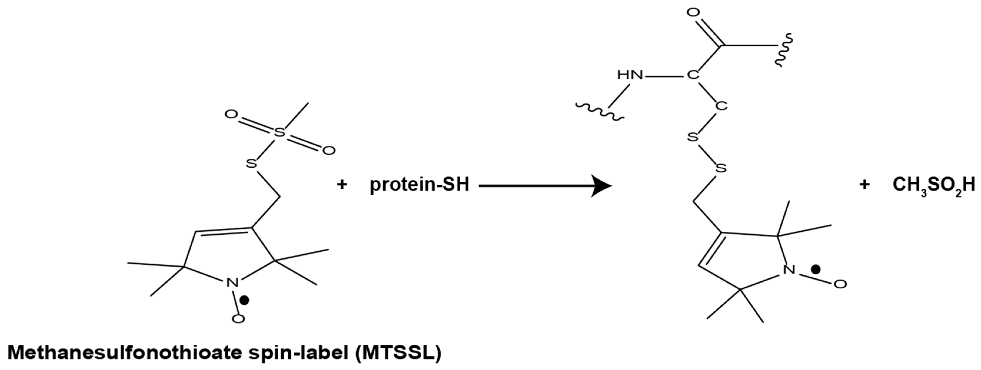 Magnetochemistry 08 00003 g002