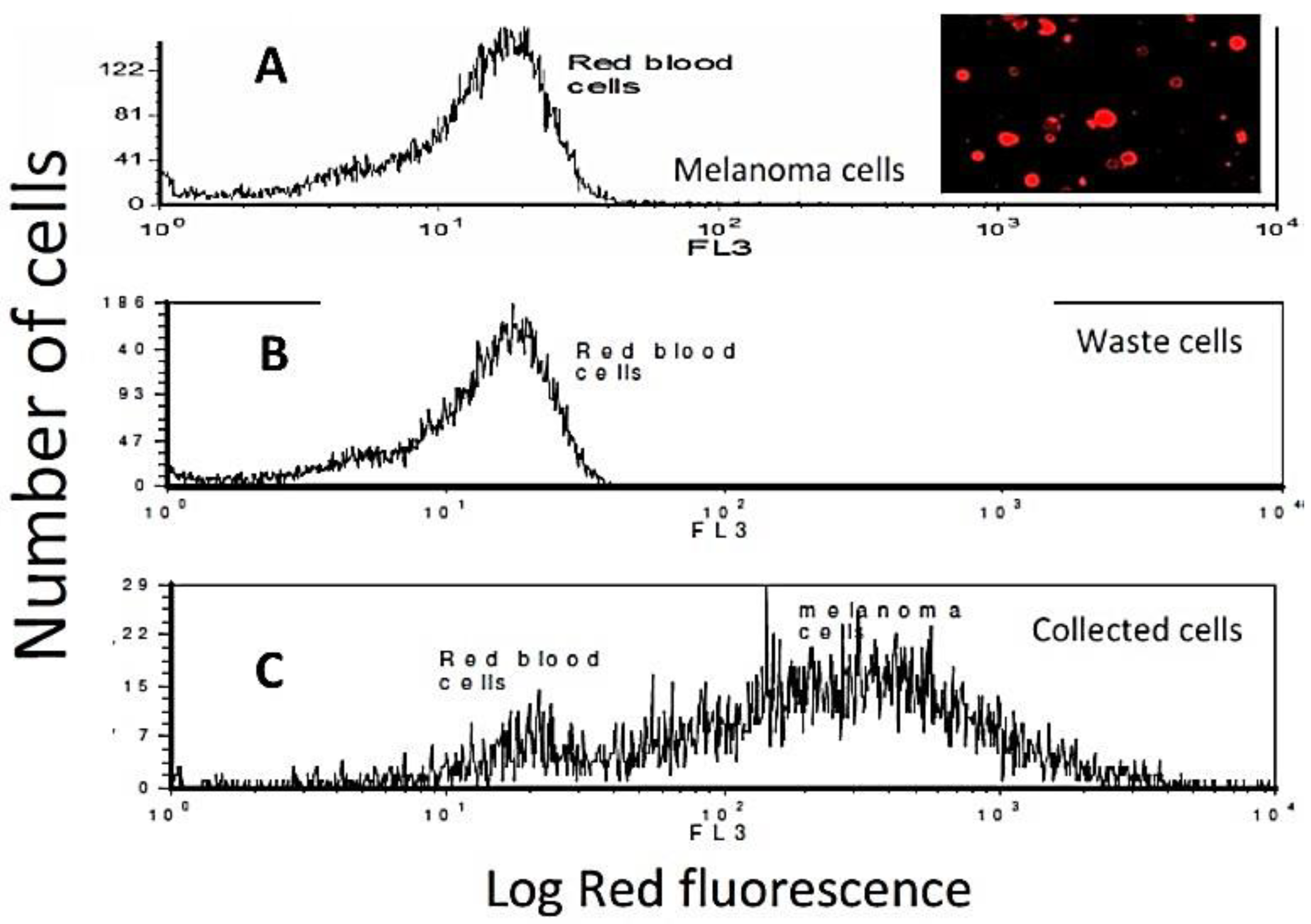 Magnetochemistry 08 00005 g009
