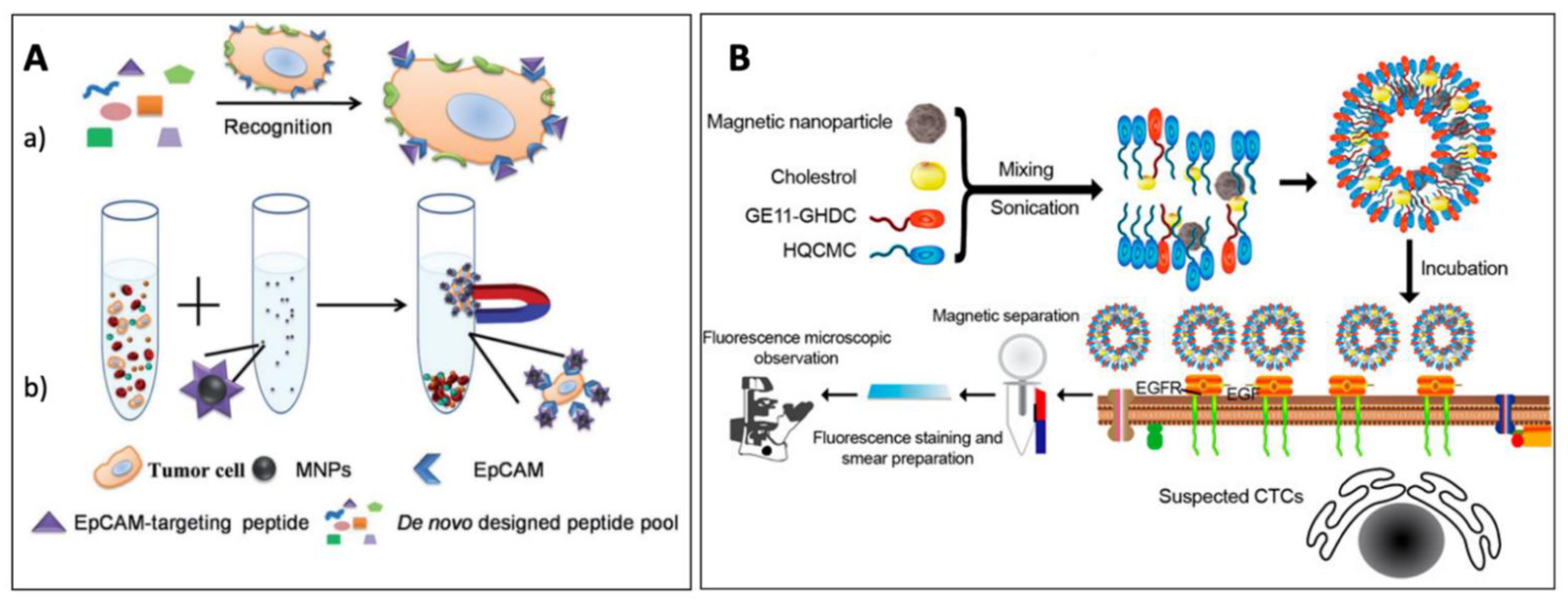 Magnetochemistry 08 00011 g006