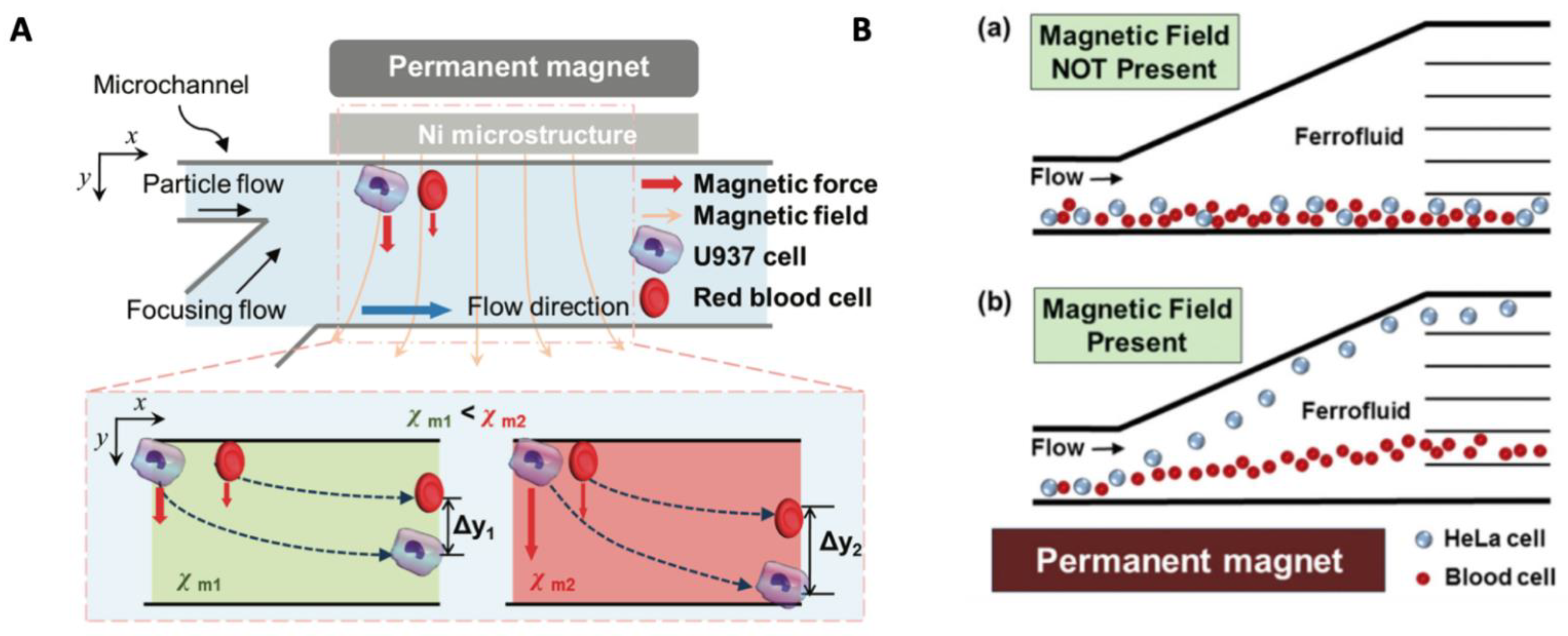 Magnetochemistry 08 00011 g009