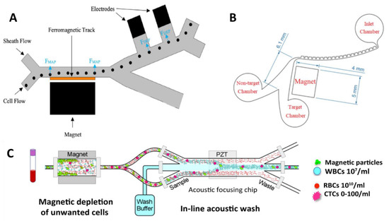 Magnetic configuration of the streamer and the underlying higher