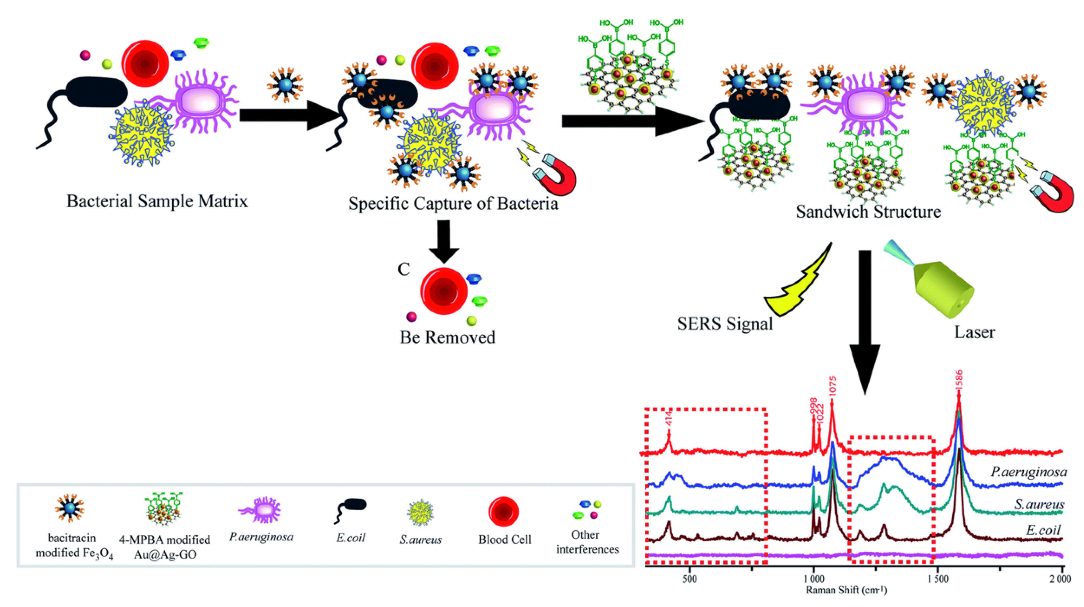 Magnetochemistry 08 00011 g021