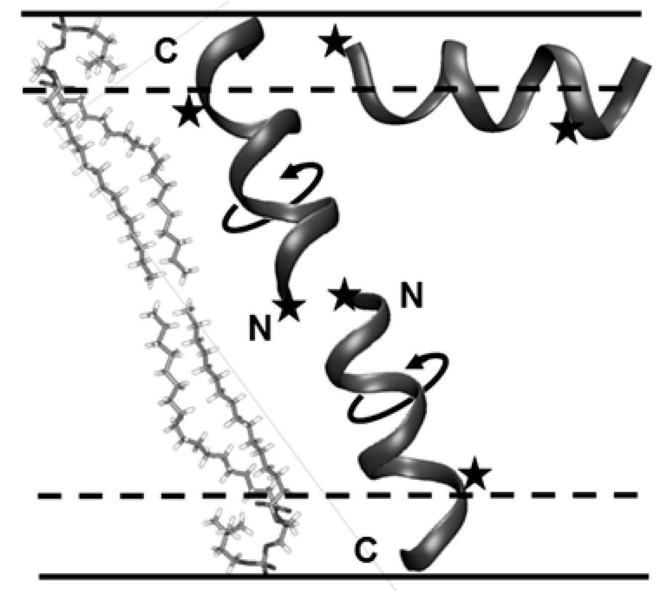 Magnetochemistry 08 00019 g013