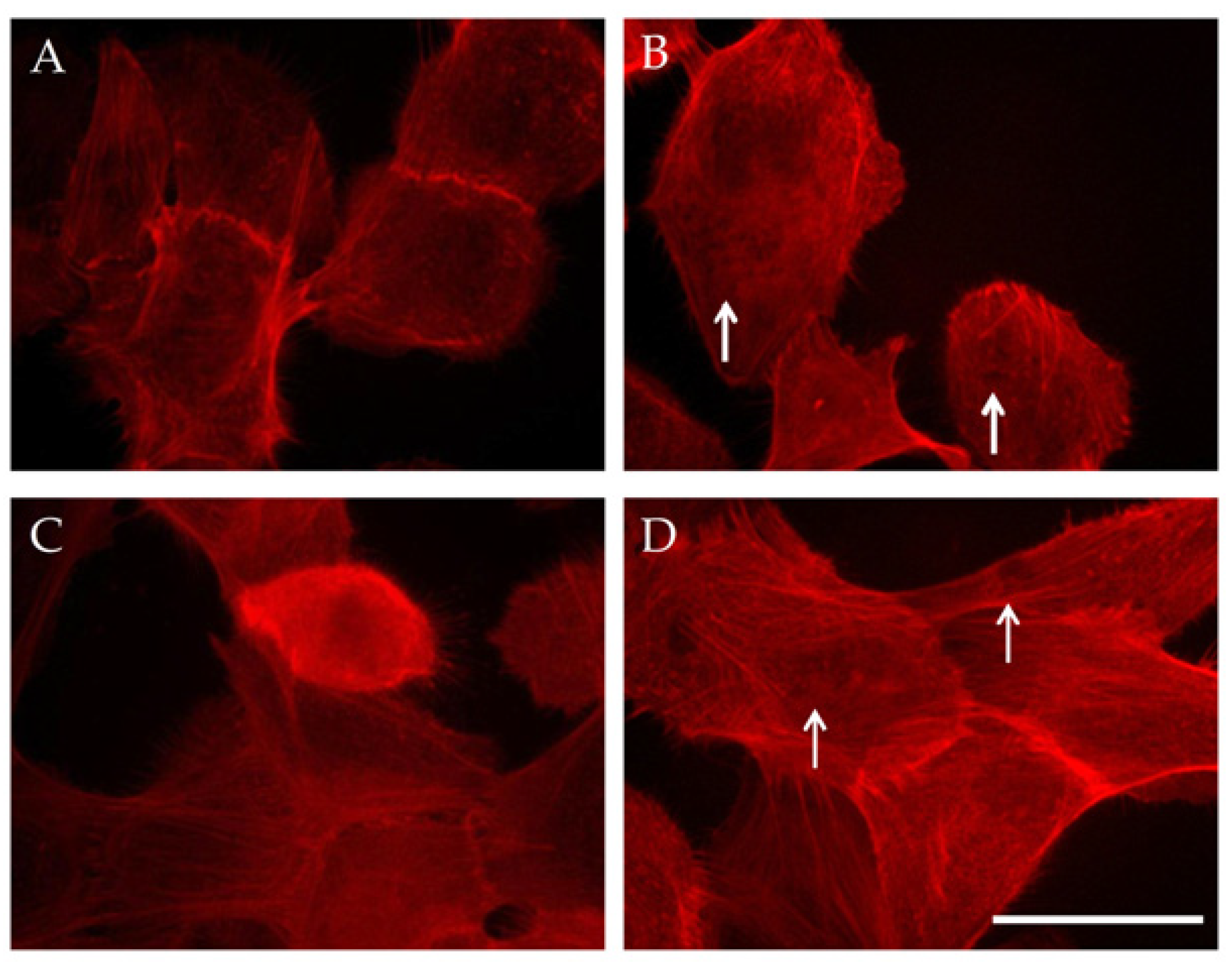 Magnetochemistry 08 00021 g006