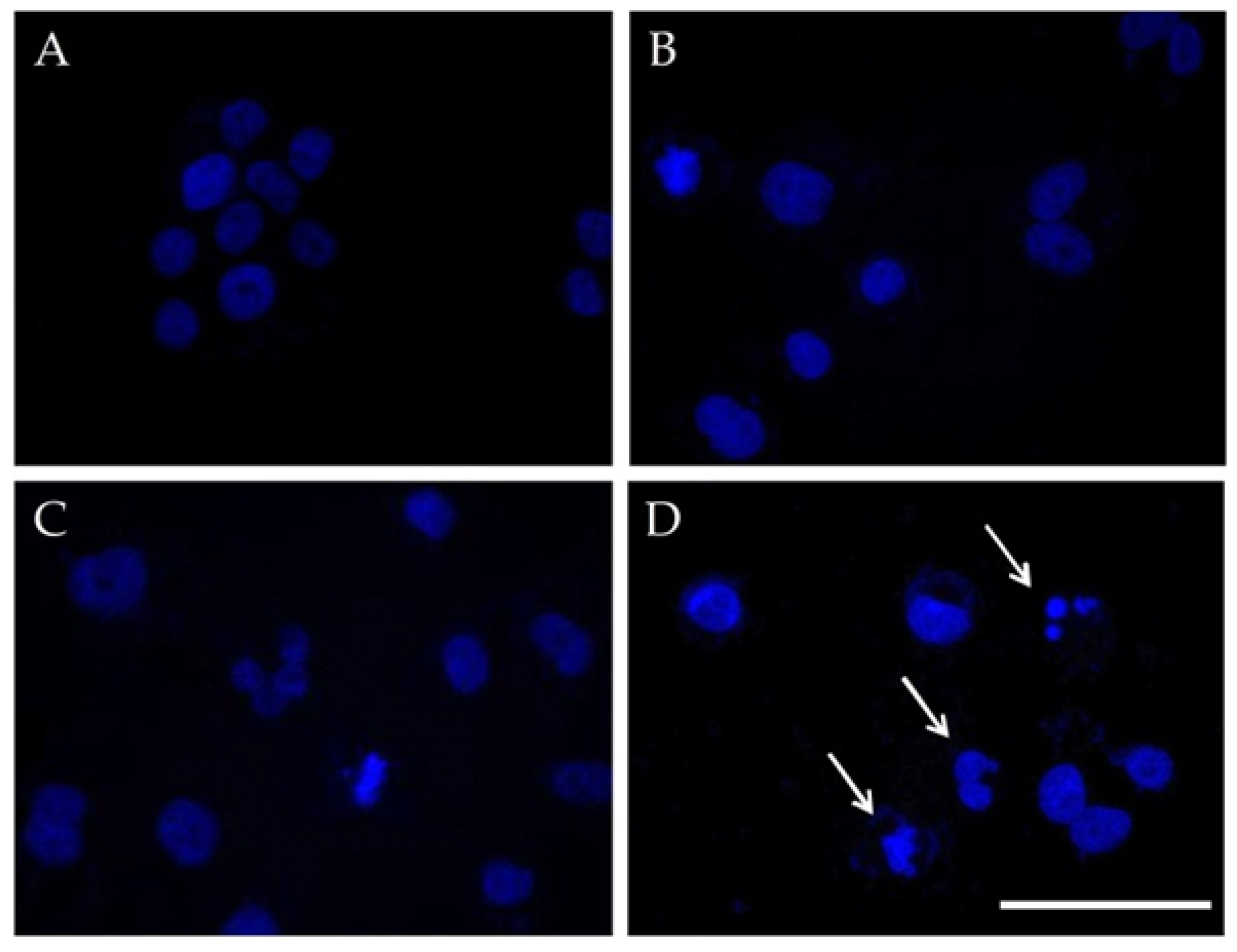 Magnetochemistry 08 00021 g011