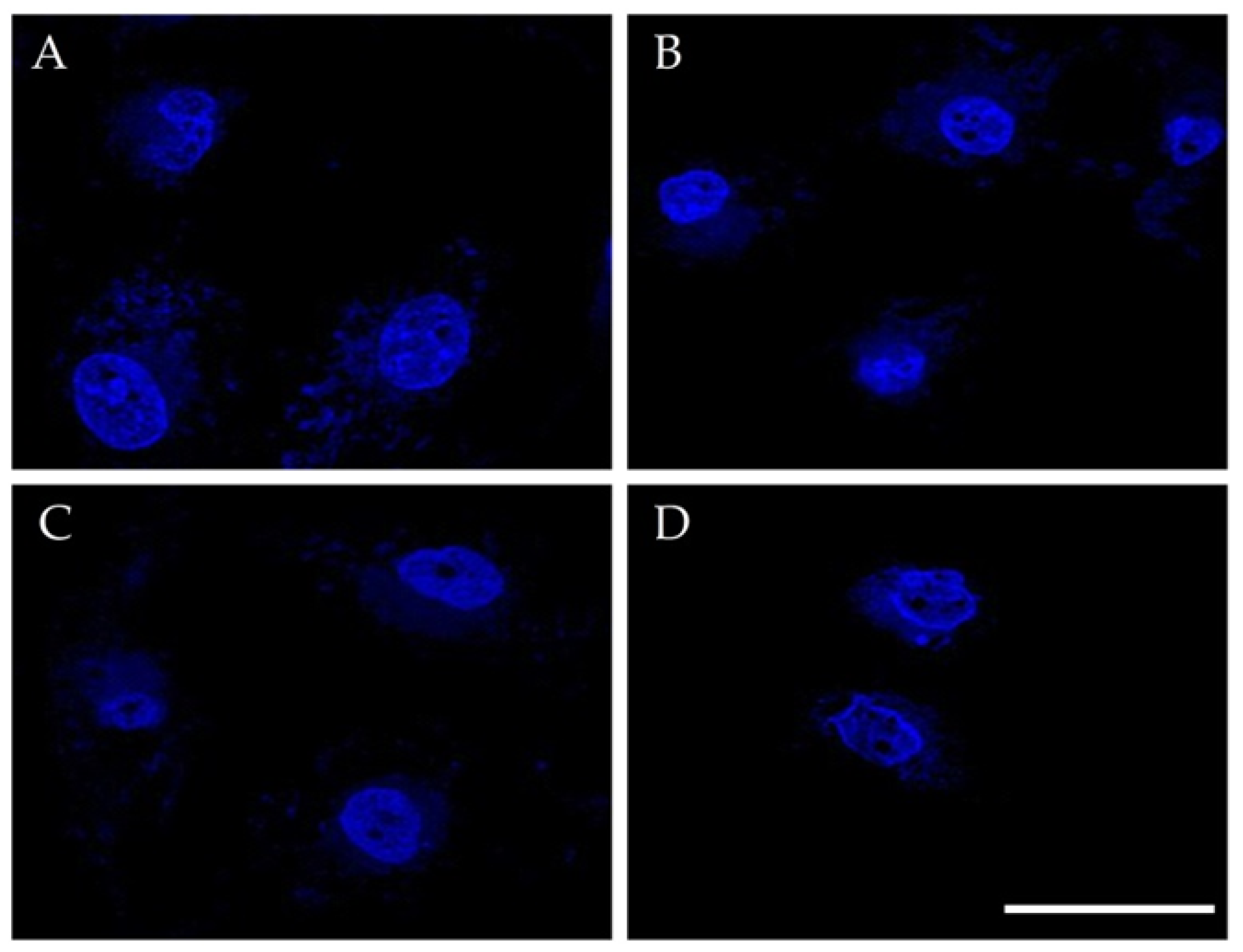 Magnetochemistry 08 00021 g013