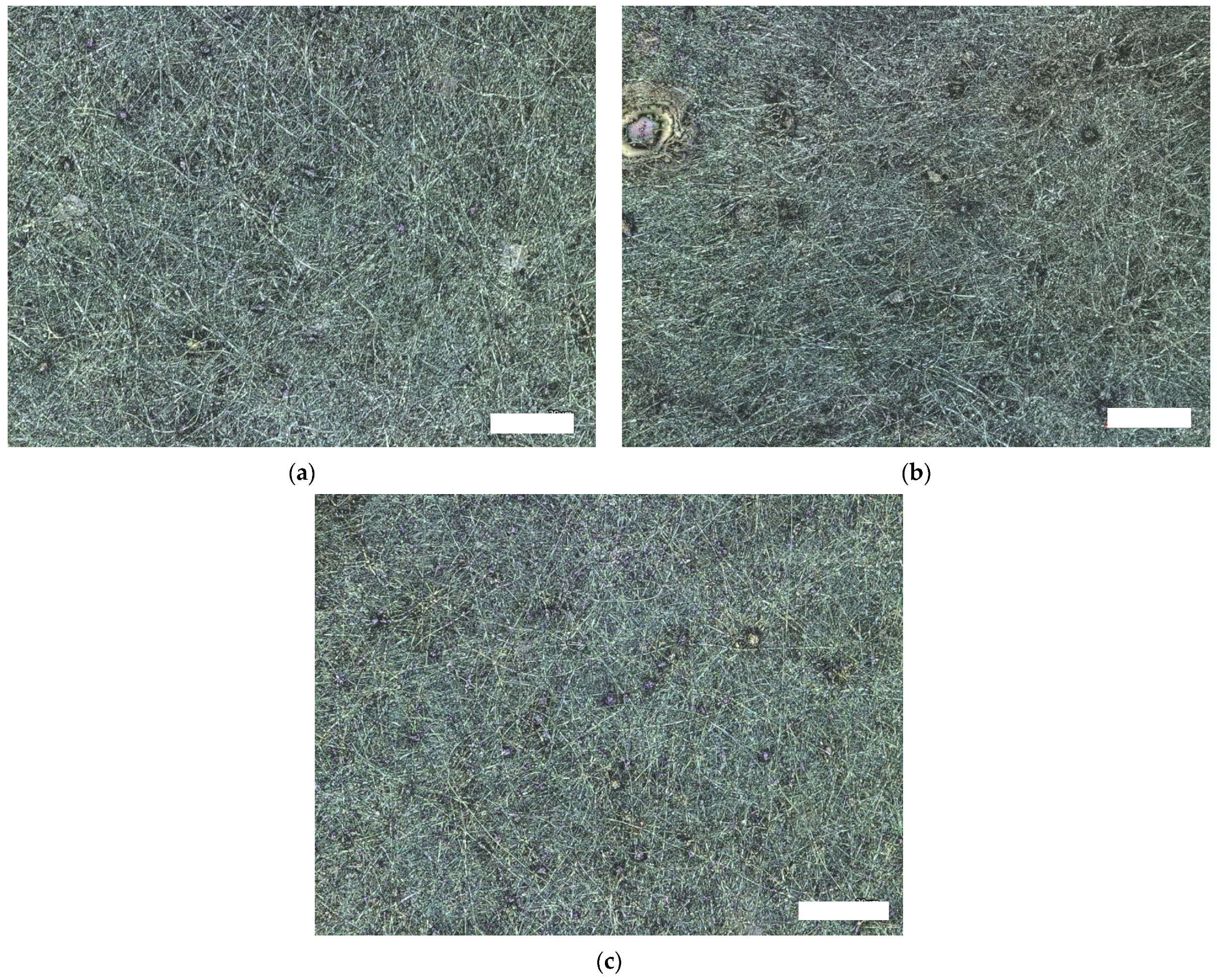 Magnetochemistry 08 00025 g002