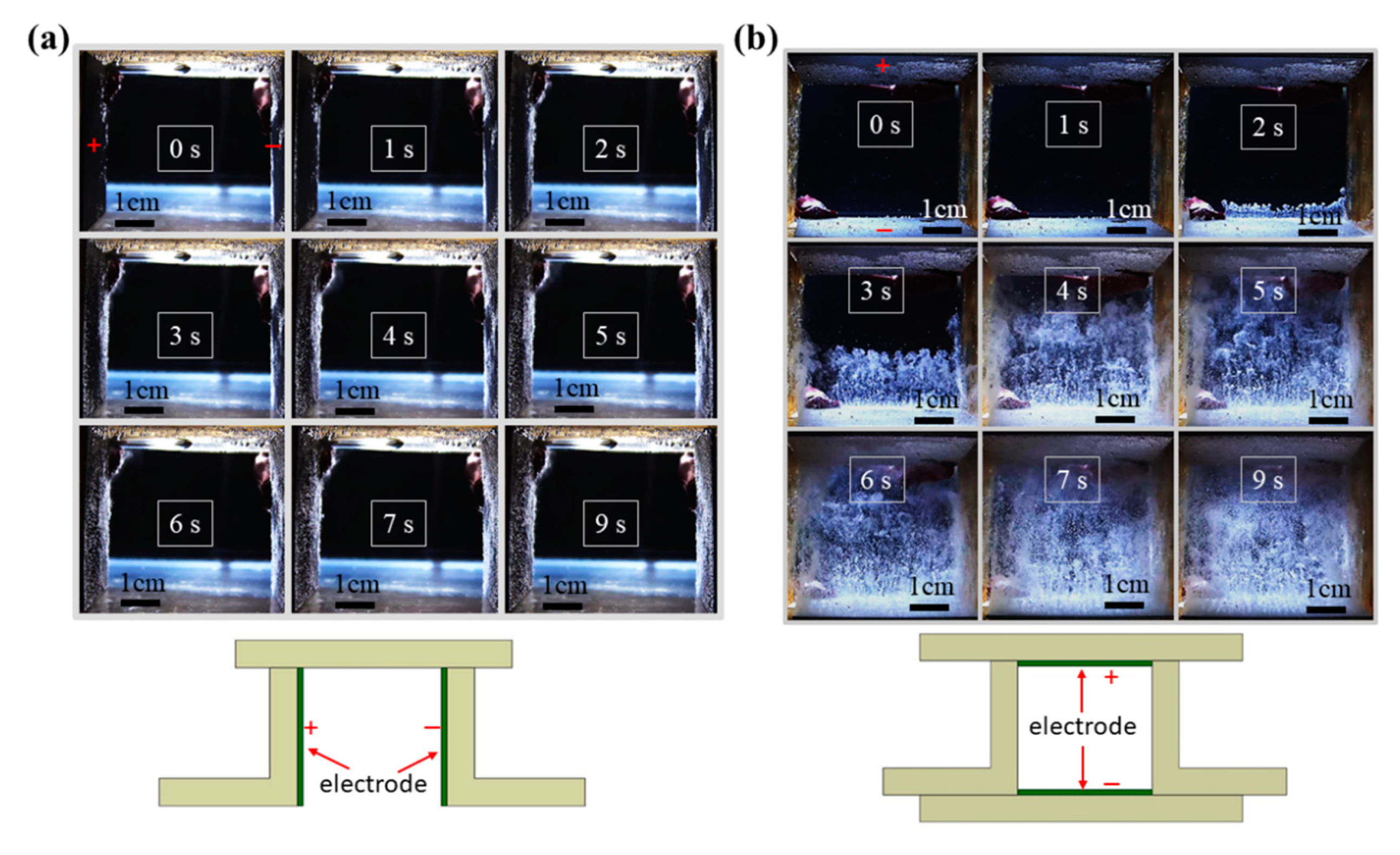 Magnetochemistry 08 00053 g001 550