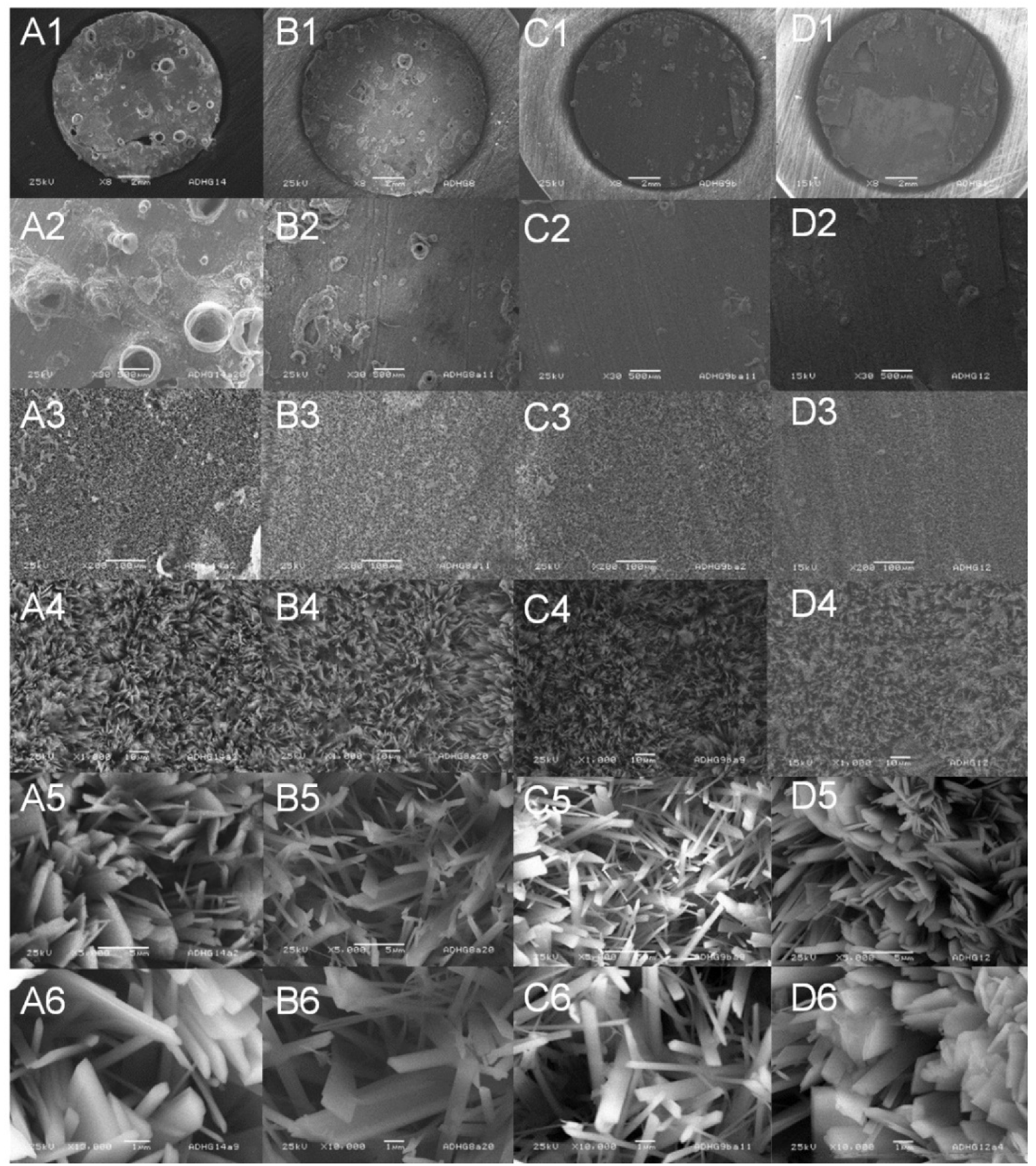 Magnetochemistry 08 00062 g004
