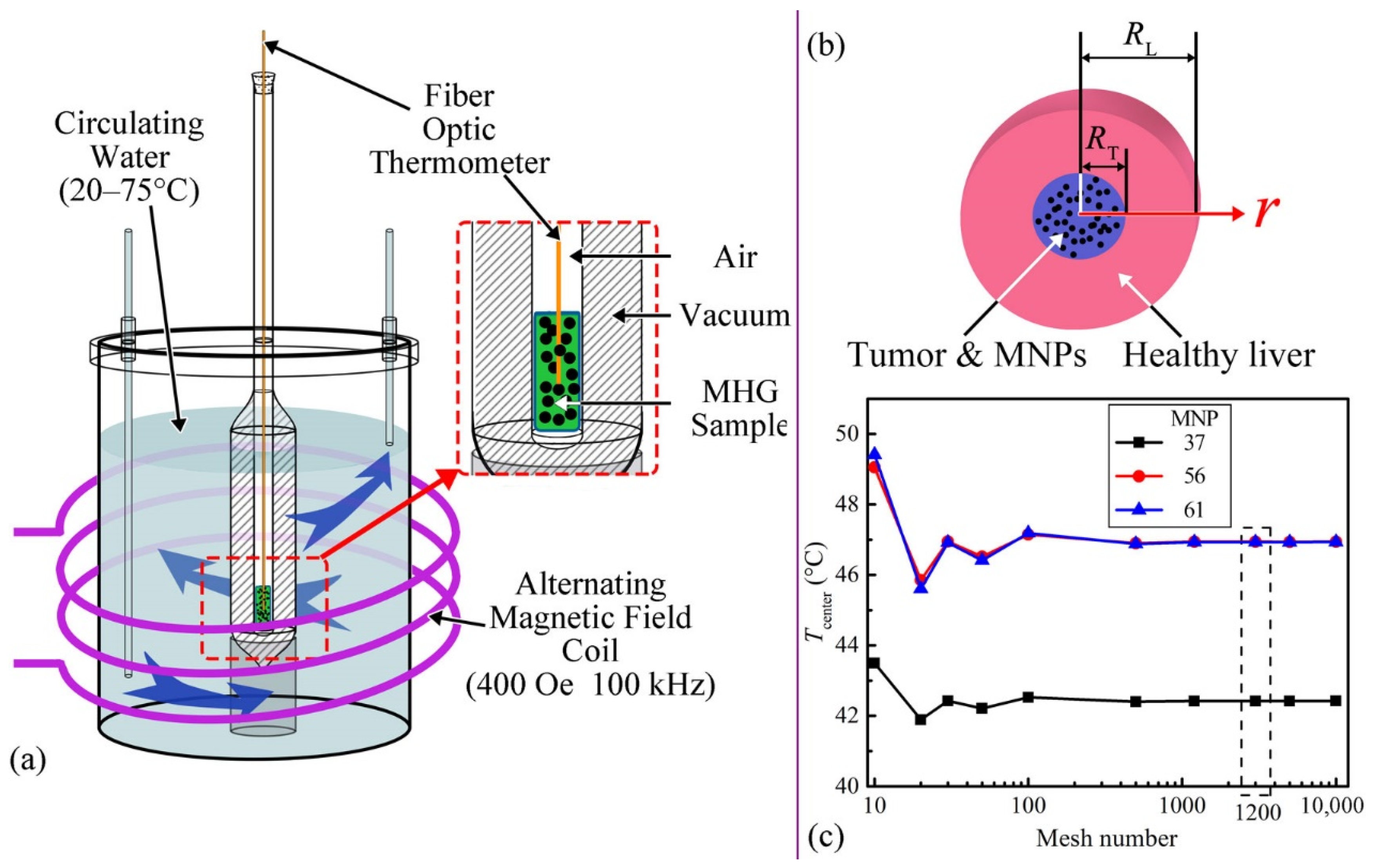 Magnetochemistry 08 00063 g001
