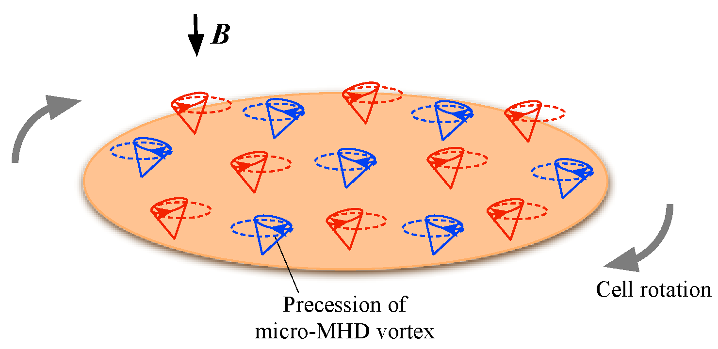 Magnetochemistry 08 00067 g011 550