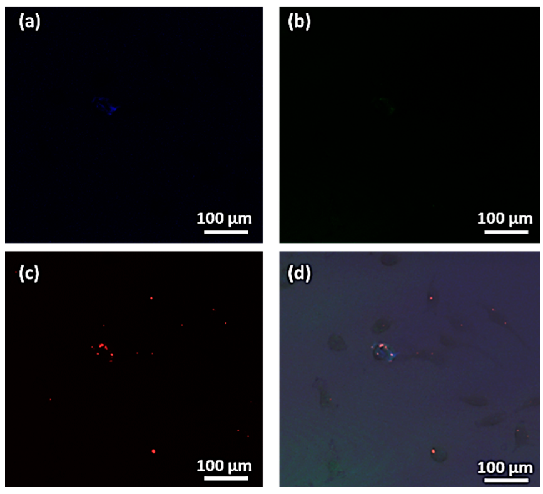 Magnetochemistry 08 00083 g010 550