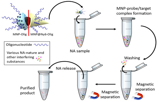 Magnetic Nylon 6 Nanocomposites for the Microextraction of