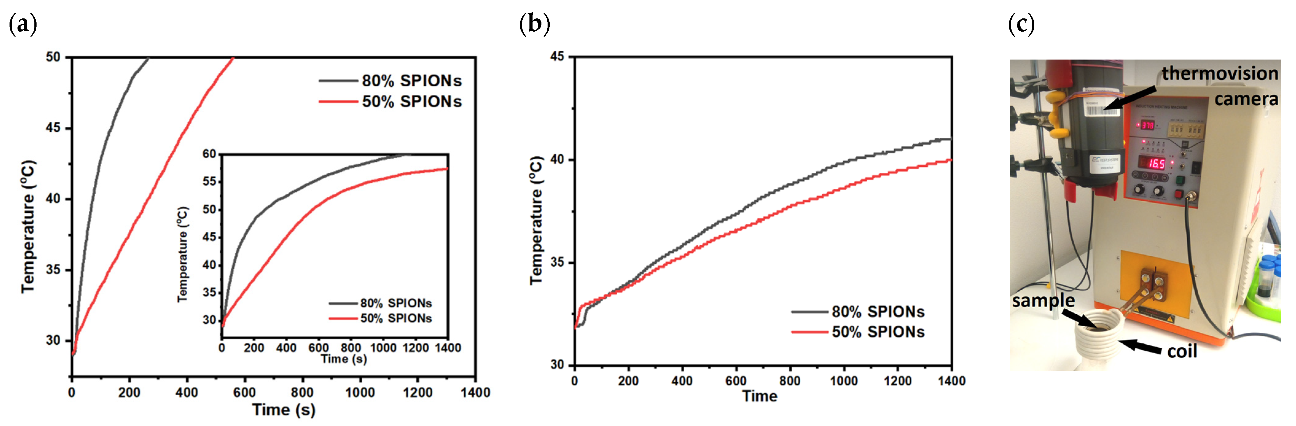 Magnetochemistry 08 00090 g012