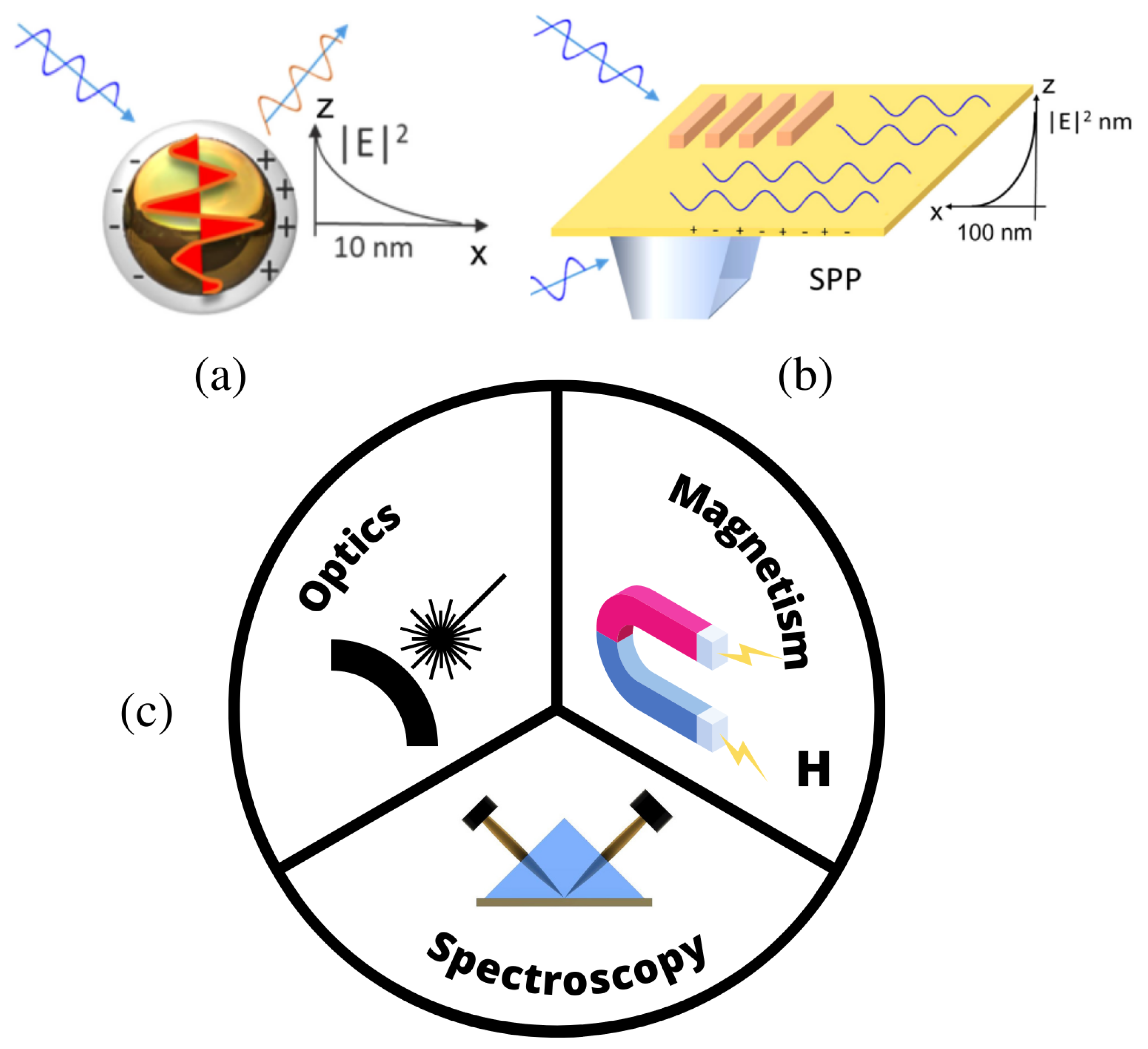 Magnetochemistry 08 00094 g001