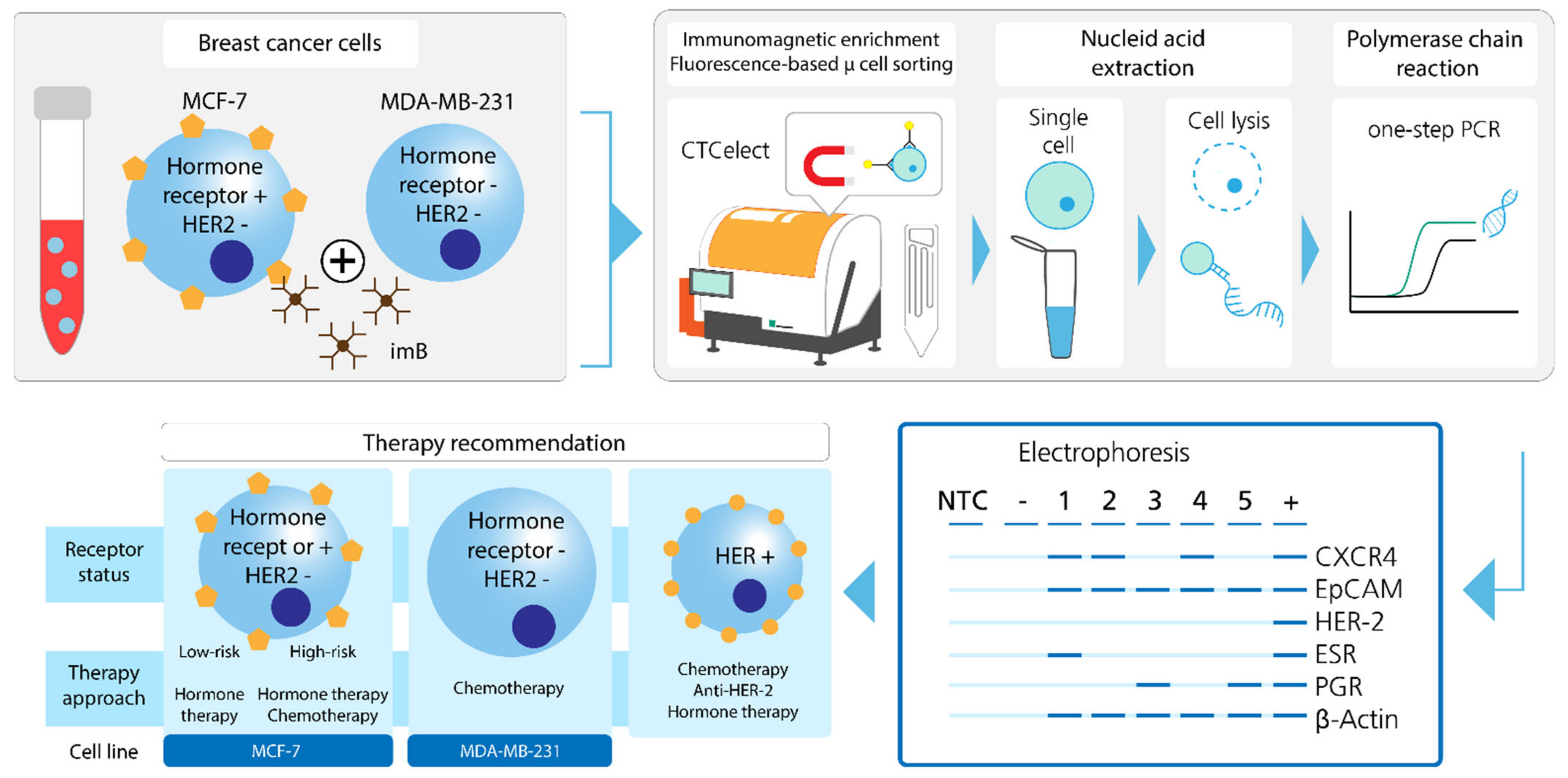 Magnetochemistry 08 00099 g001 550