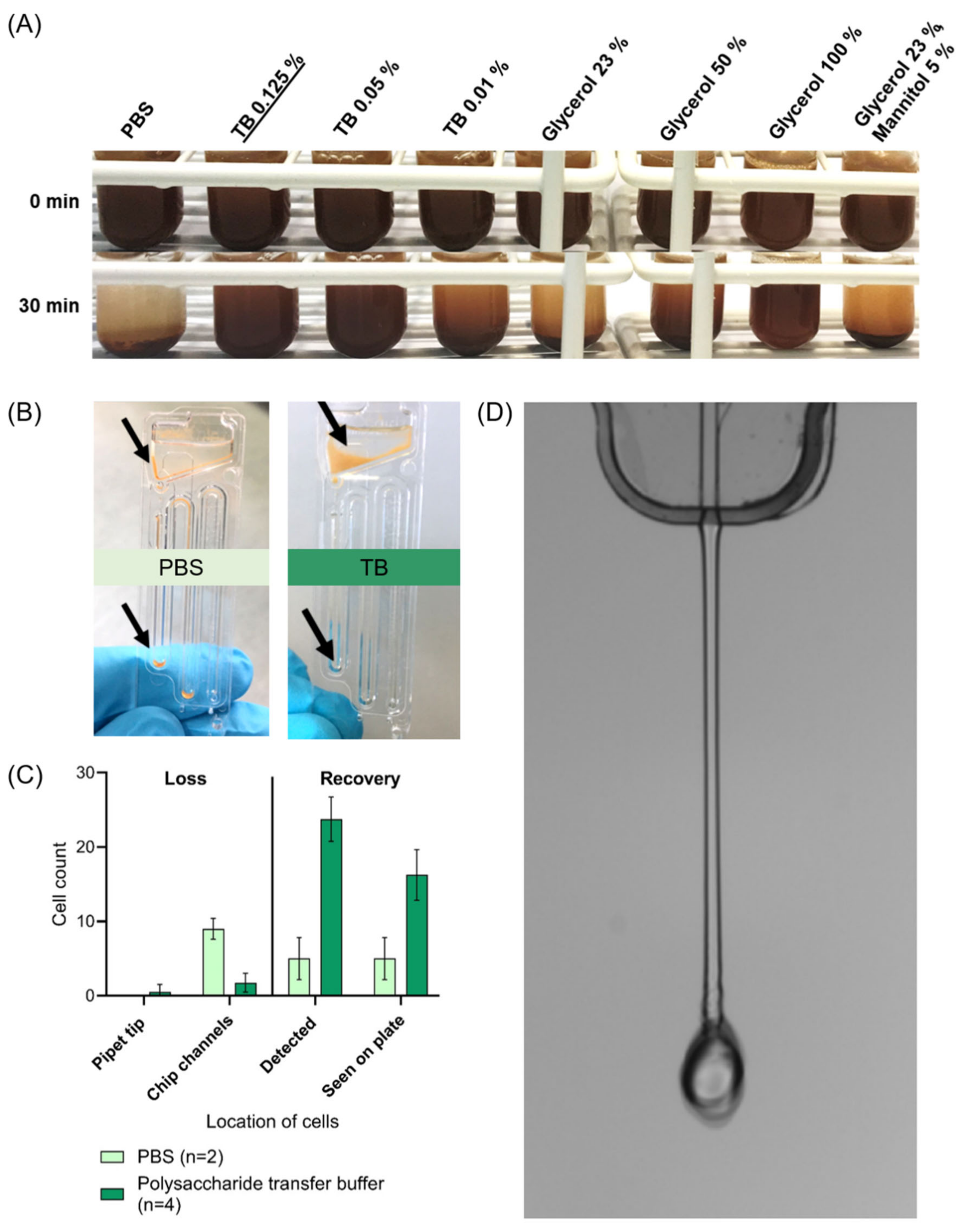 Magnetochemistry 08 00099 g002 550