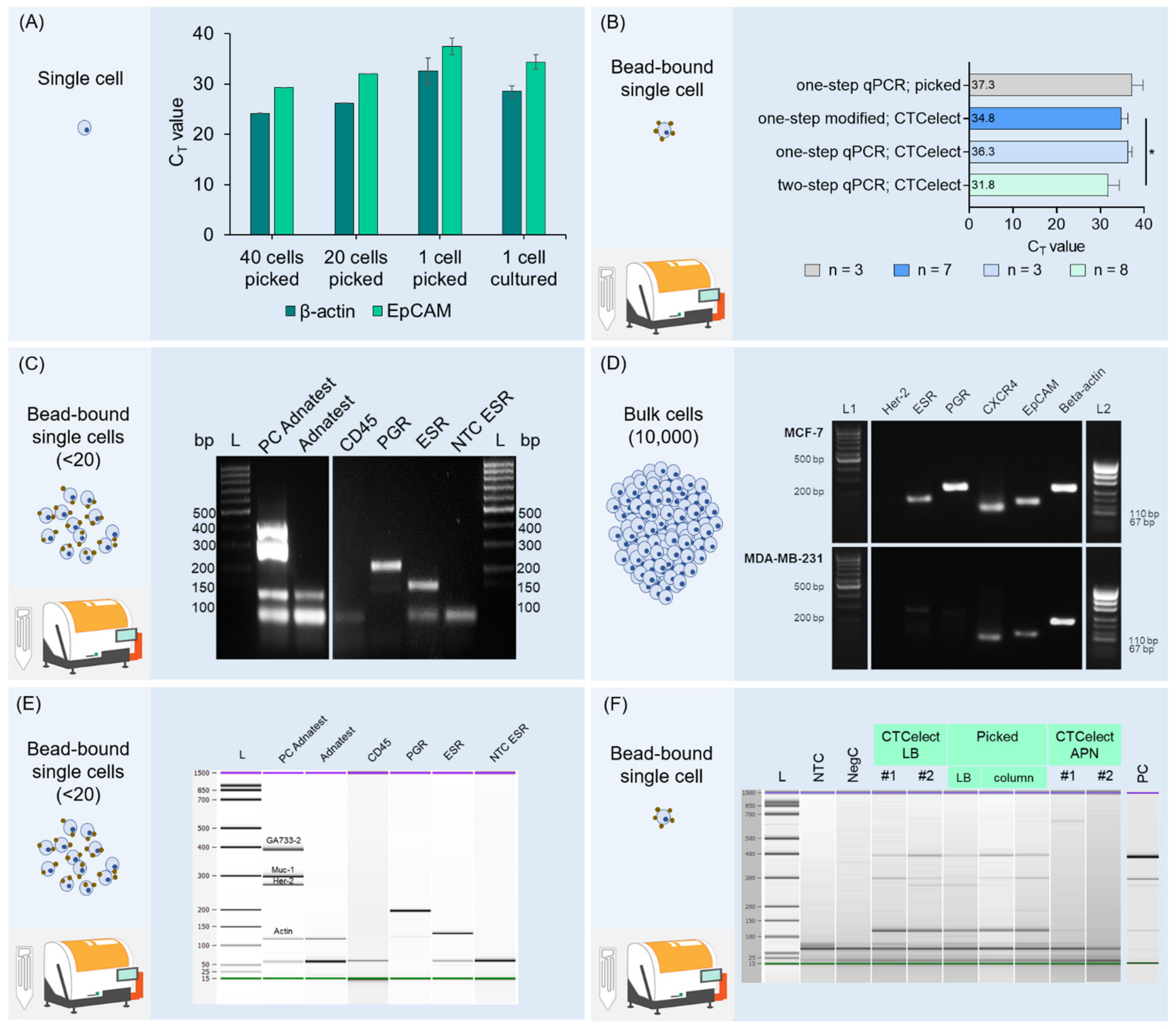 Magnetochemistry 08 00099 g005 550