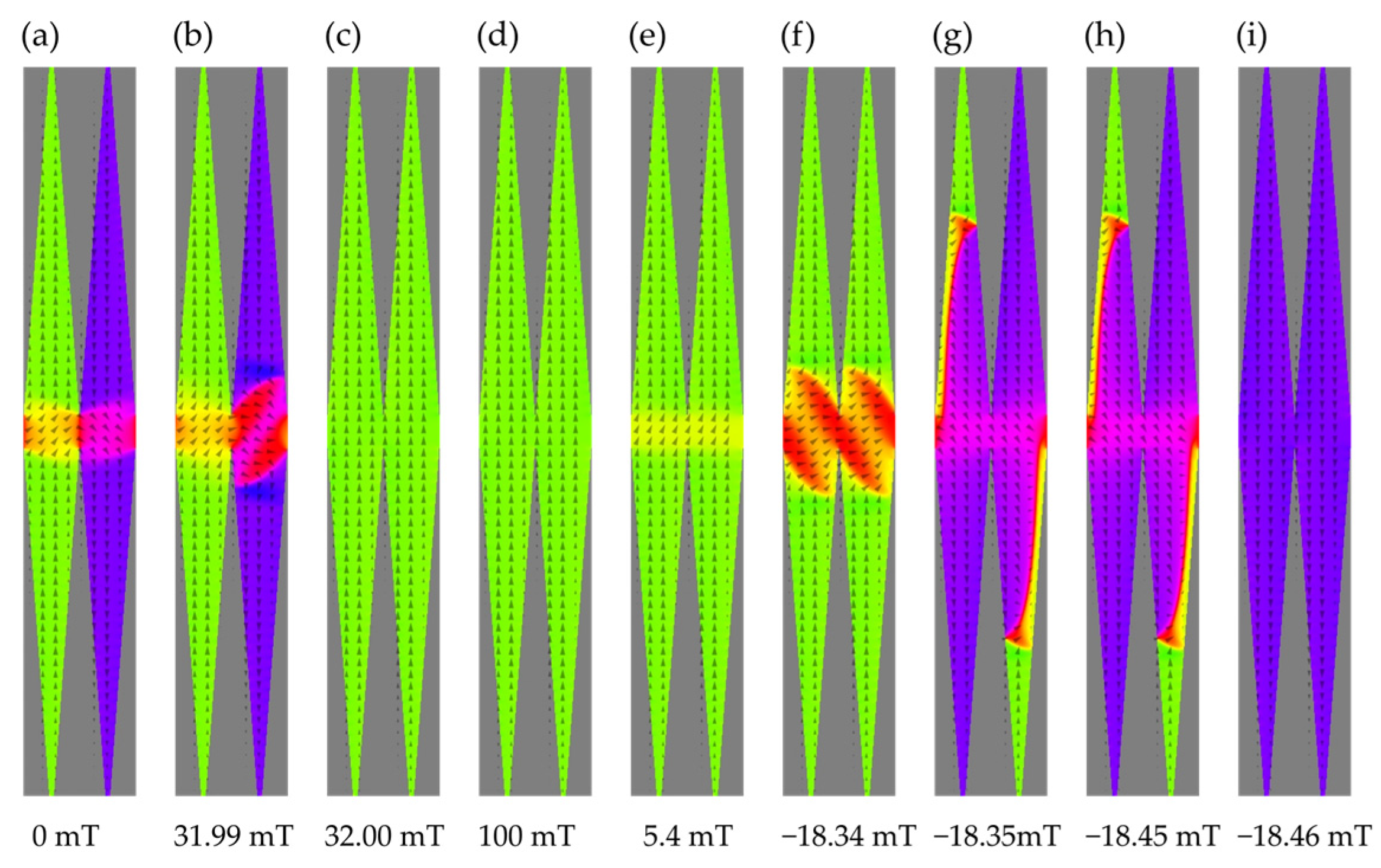 Magnetochemistry 08 00102 g006