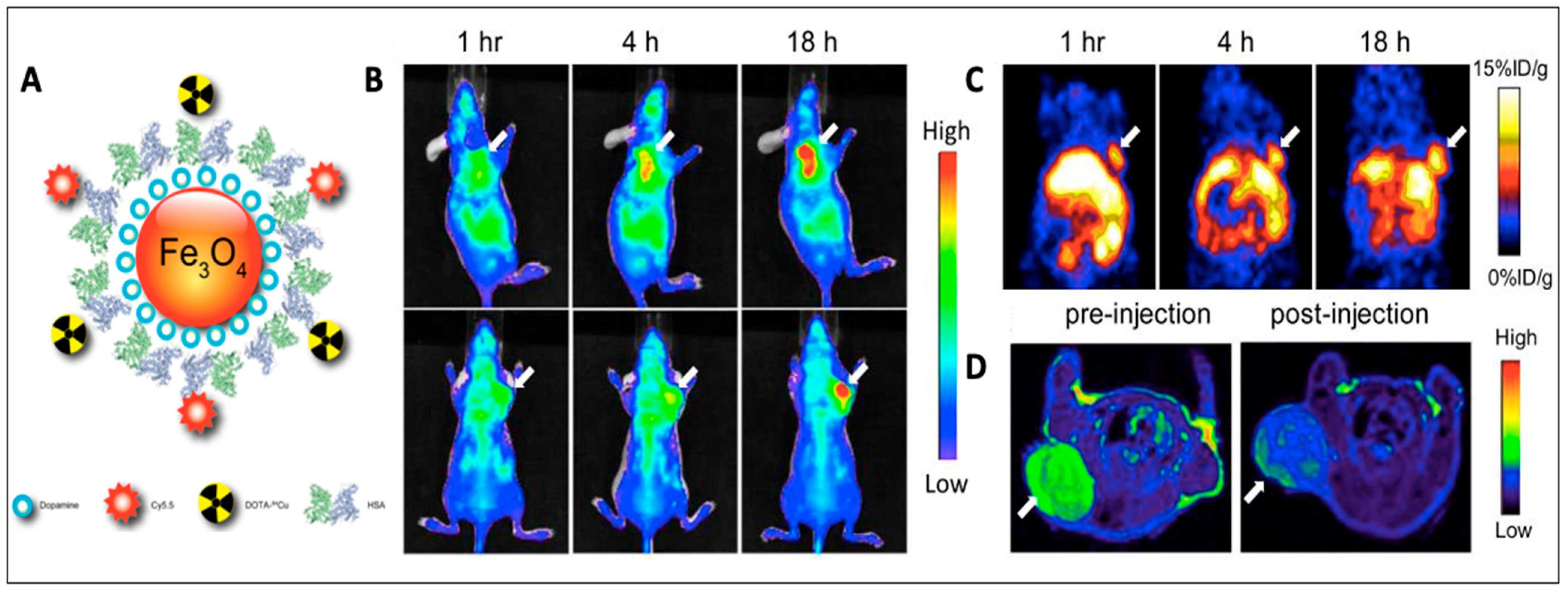 Magnetochemistry 08 00107 g007 Magnetochemistry 08 00107 g007