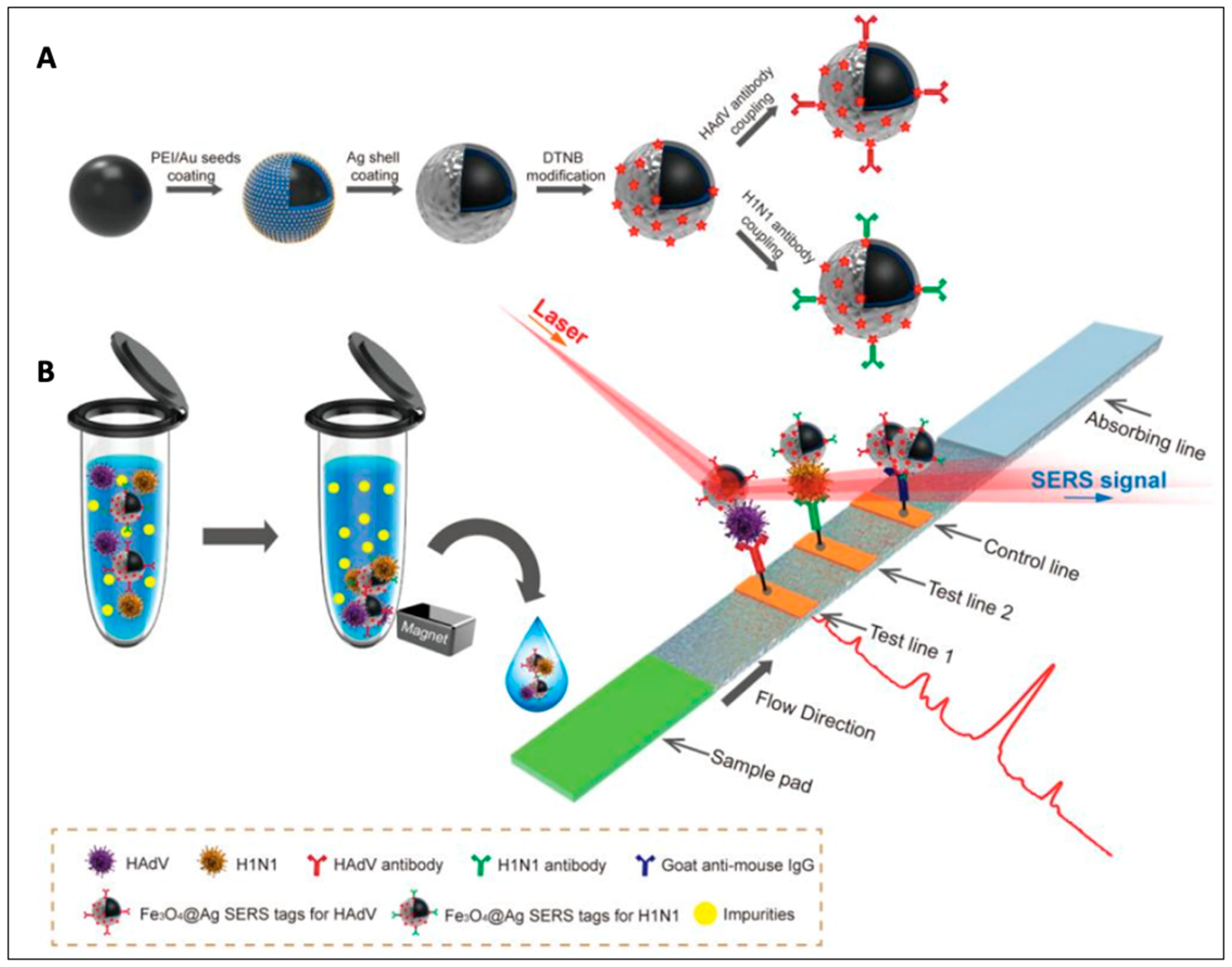 Magnetochemistry 08 00107 g009 Magnetochemistry 08 00107 g009
