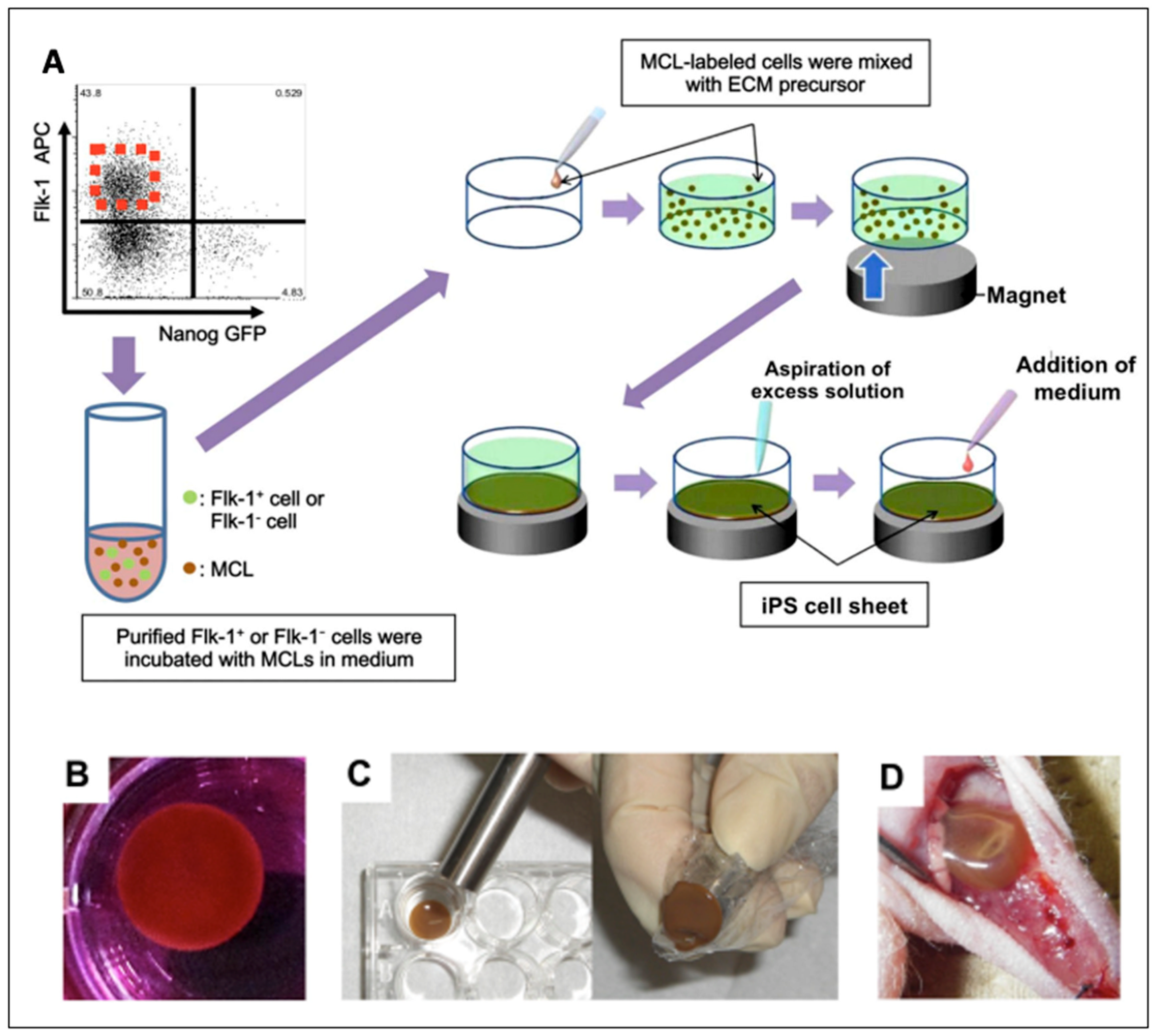 Magnetochemistry 08 00107 g010 Magnetochemistry 08 00107 g010