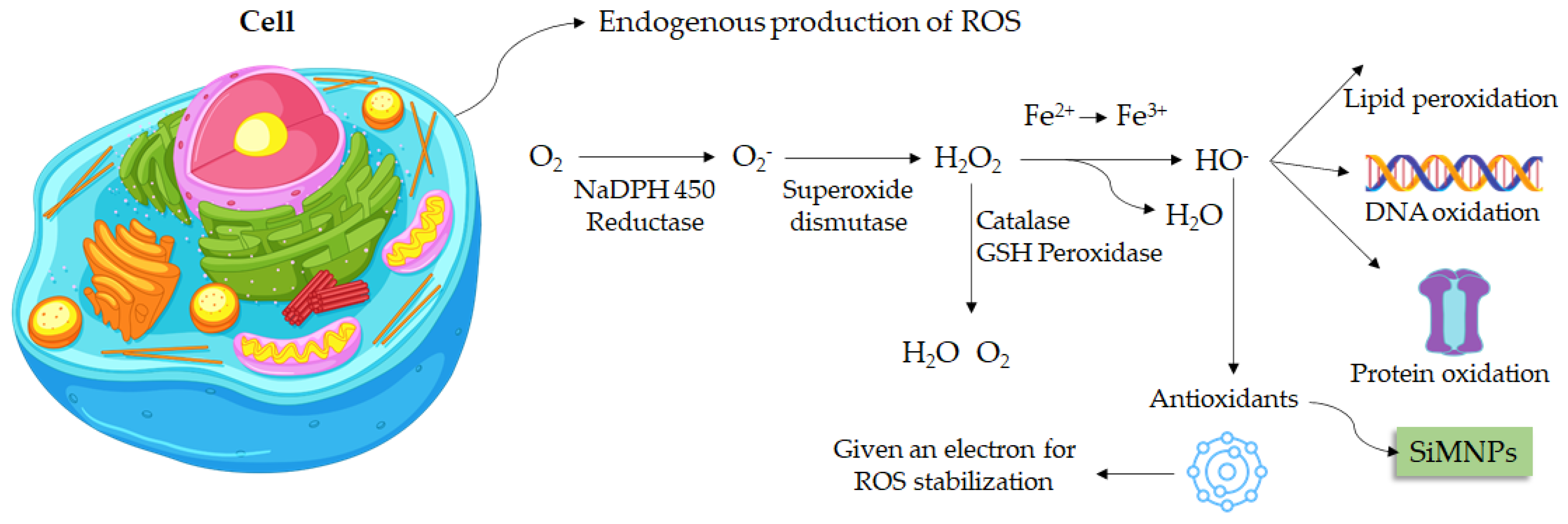 Magnetochemistry 08 00131 g004 550