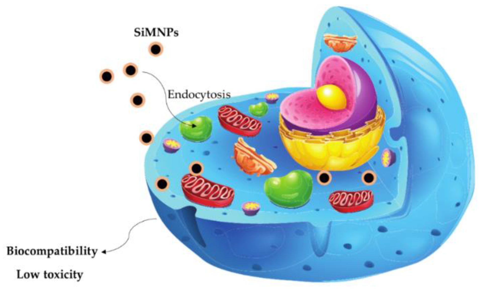 Magnetochemistry 08 00131 g005 Magnetochemistry 08 00131 g005