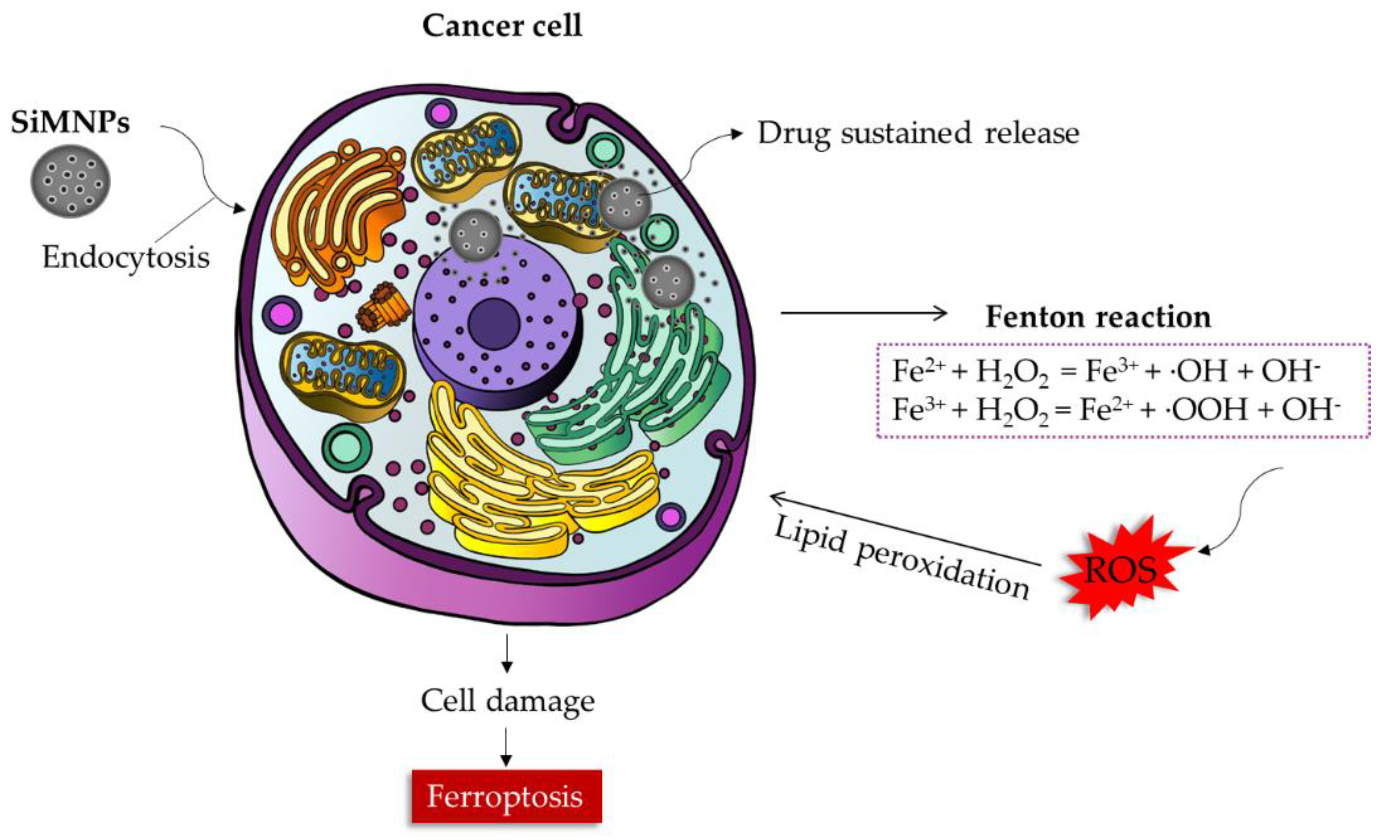 Magnetochemistry 08 00131 g006 Magnetochemistry 08 00131 g006