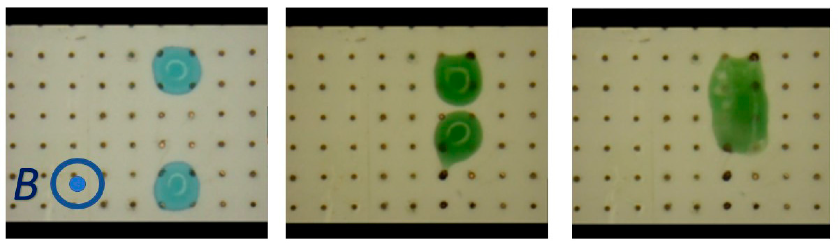 Magnetochemistry 08 00140 g006