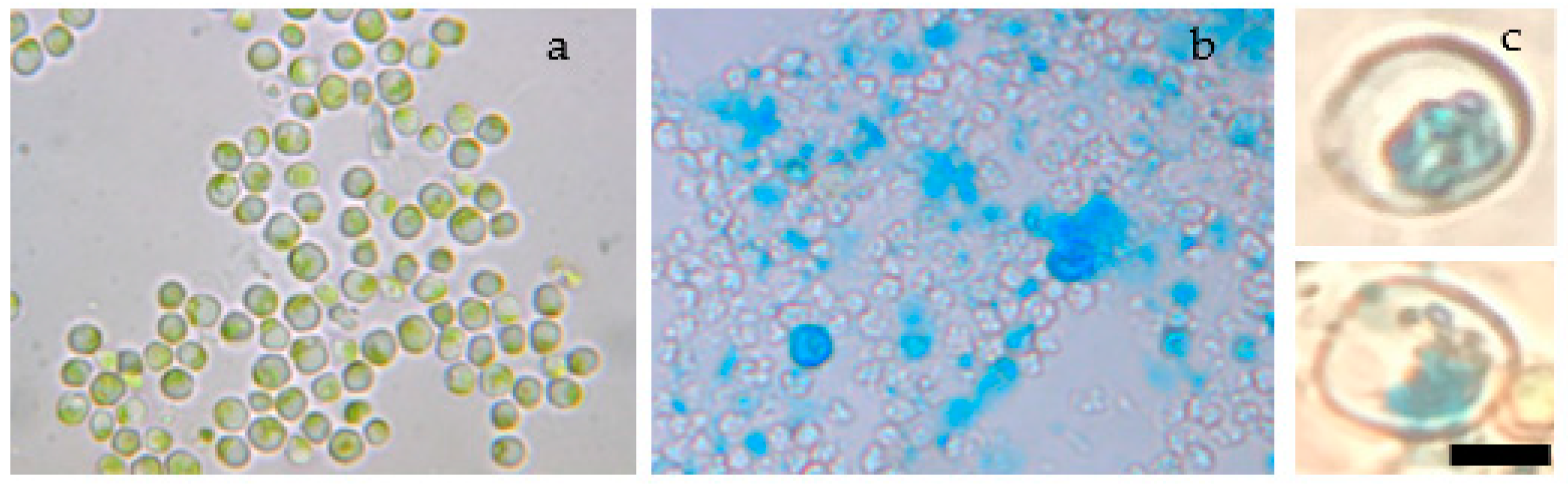 Magnetochemistry 08 00147 g006