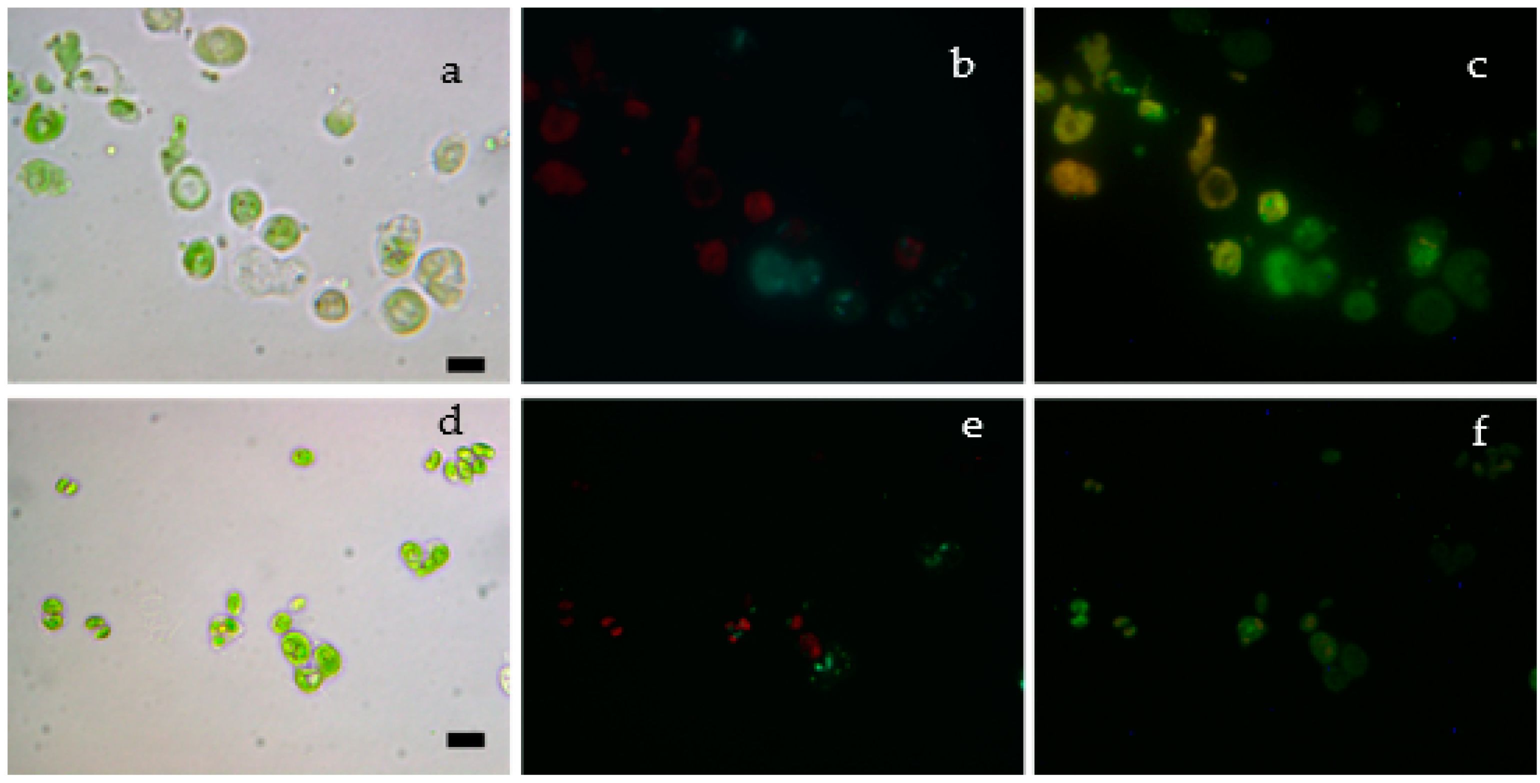 Magnetochemistry 08 00147 g007