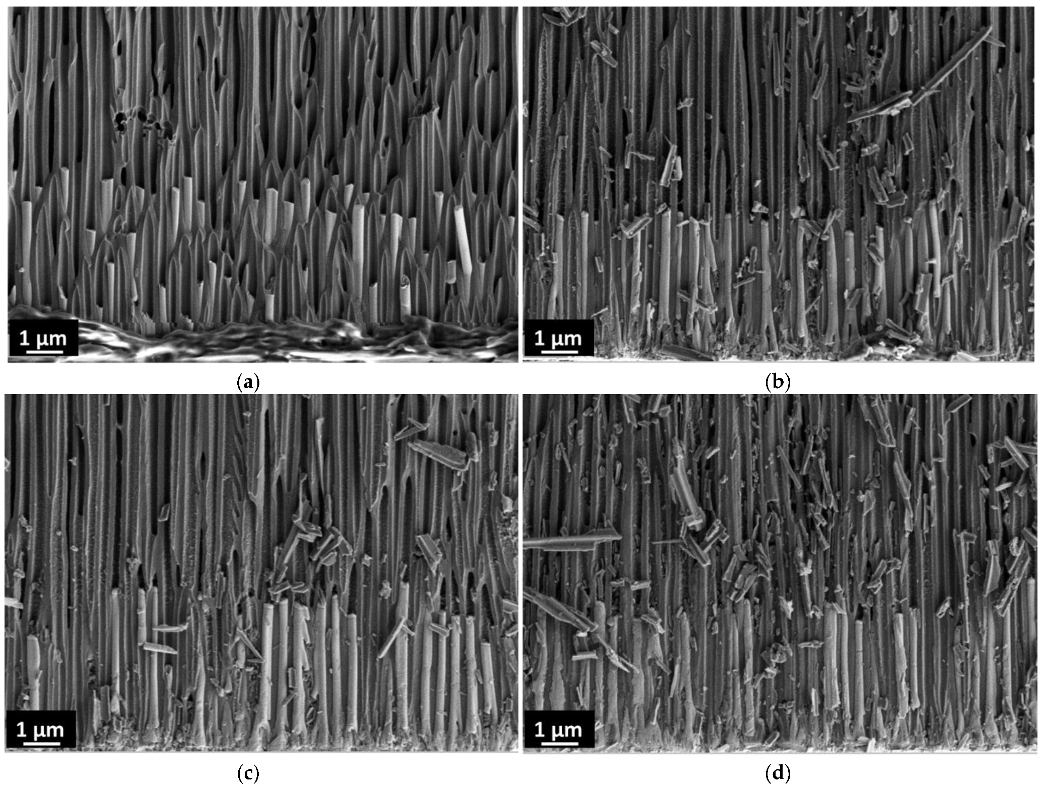 Magnetochemistry 08 00176 g001