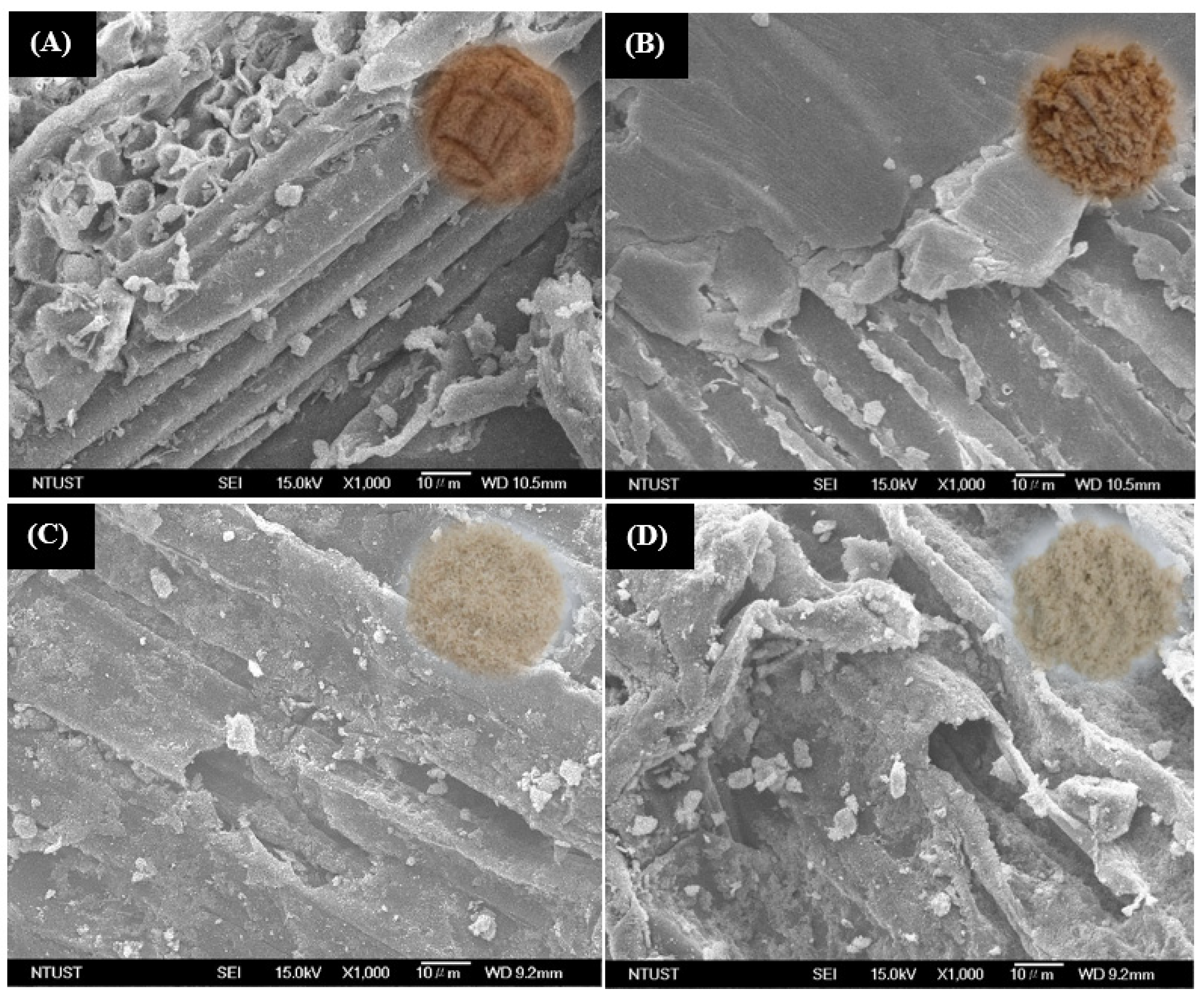 Magnetochemistry 08 00183 g001 Magnetochemistry 08 00183 g001