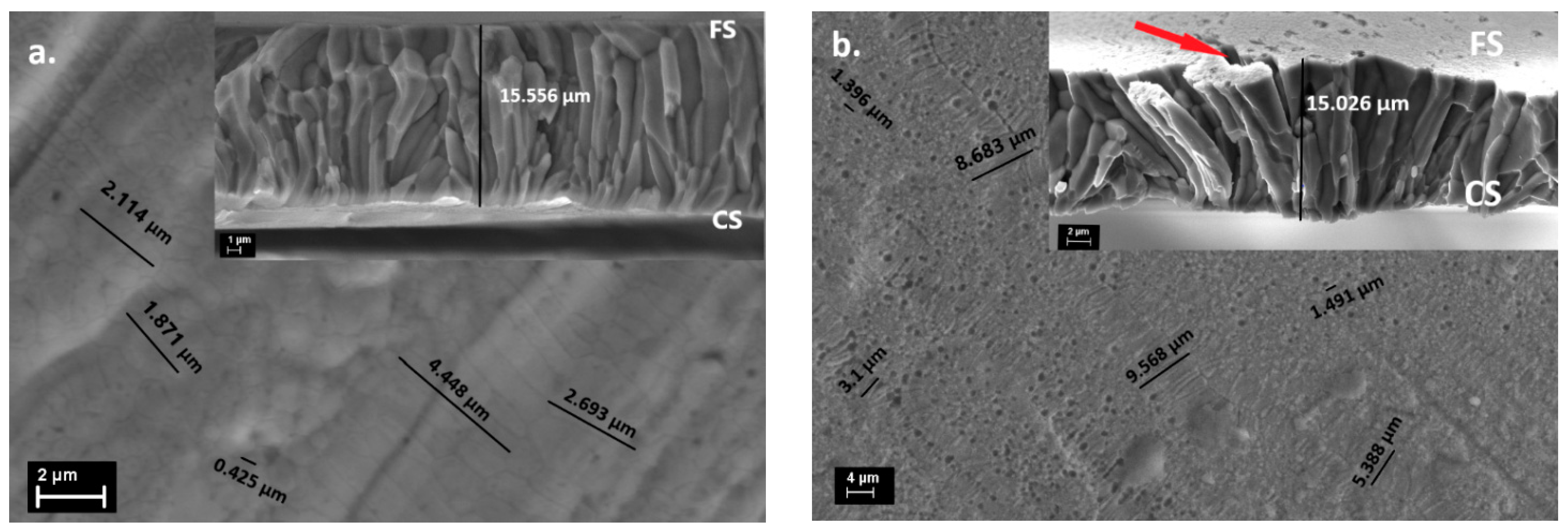 Magnetochemistry 09 00007 g005a