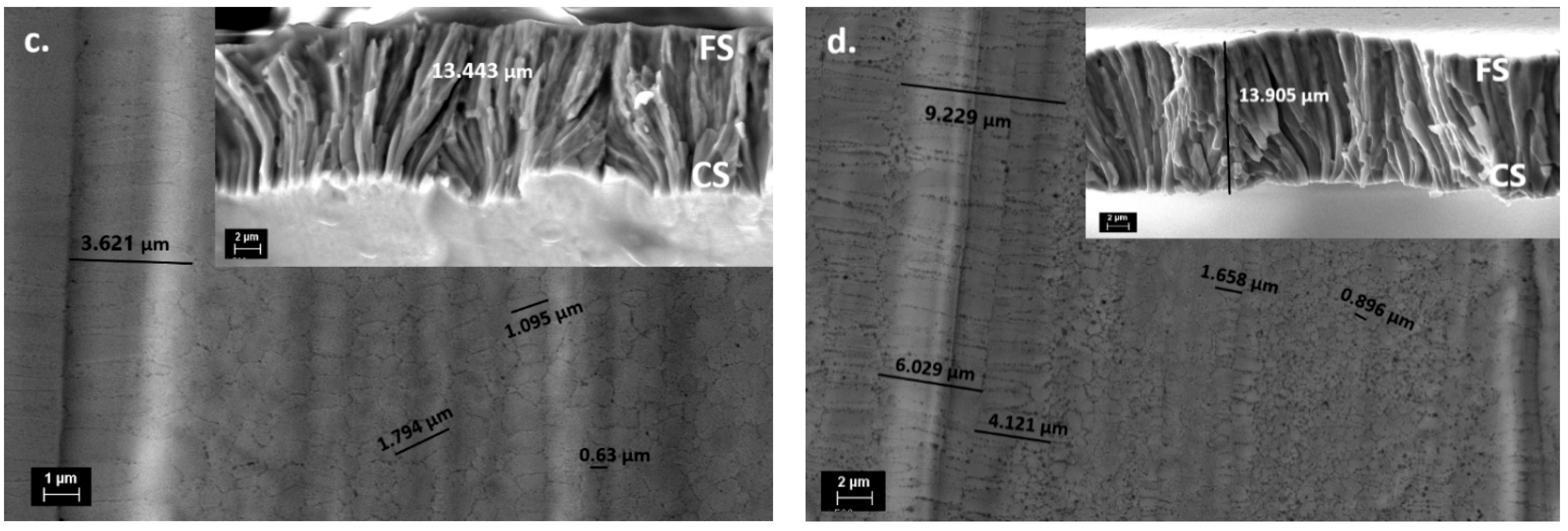 Magnetochemistry 09 00007 g005b