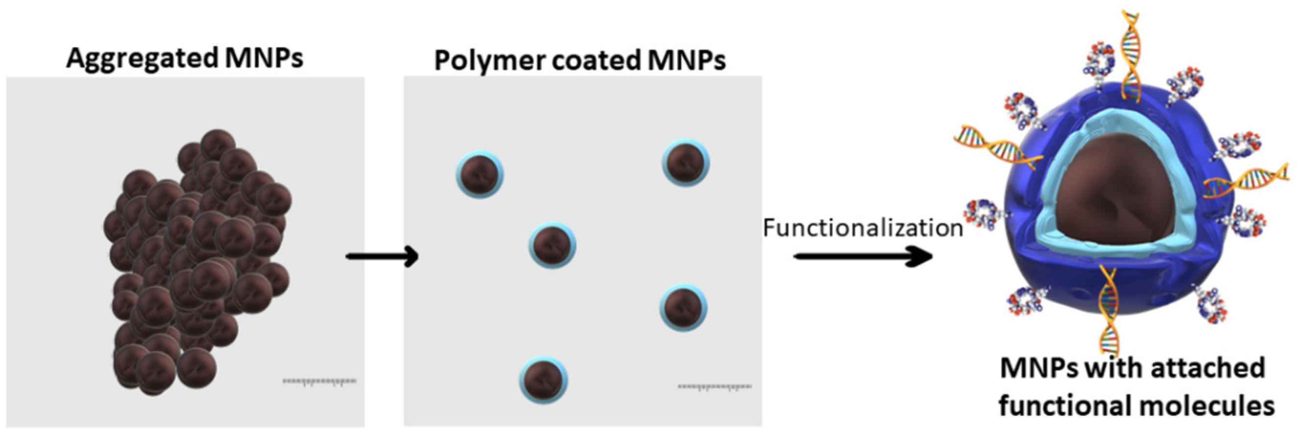 Magnetochemistry 09 00012 g003 Magnetochemistry 09 00012 g003