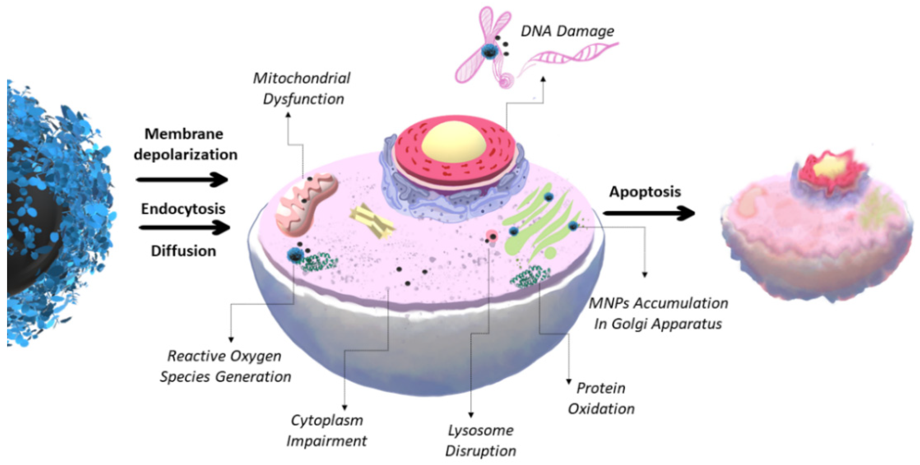 Magnetochemistry 09 00012 g009 Magnetochemistry 09 00012 g009