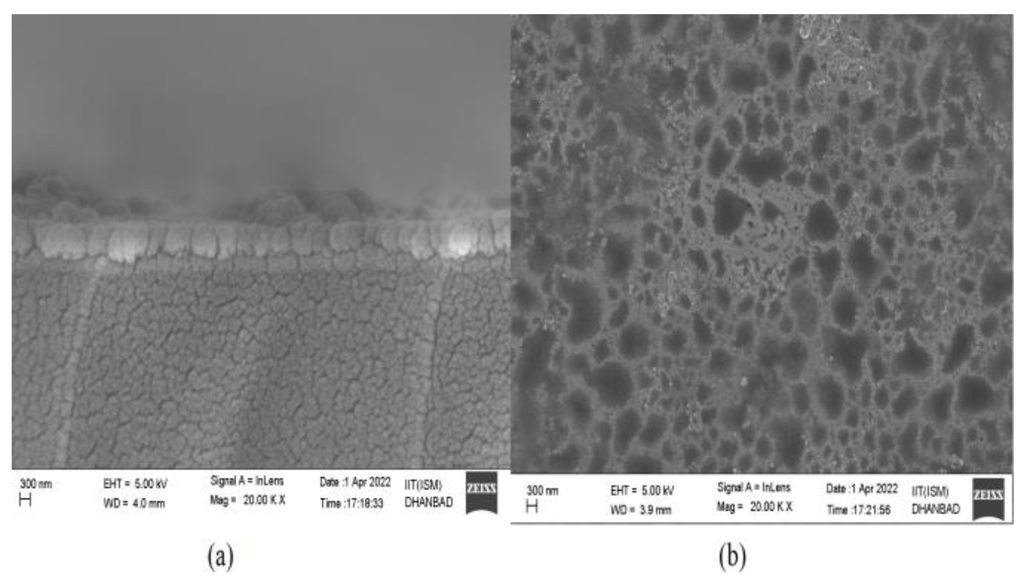 Magnetochemistry 09 00021 g009 Magnetochemistry 09 00021 g009