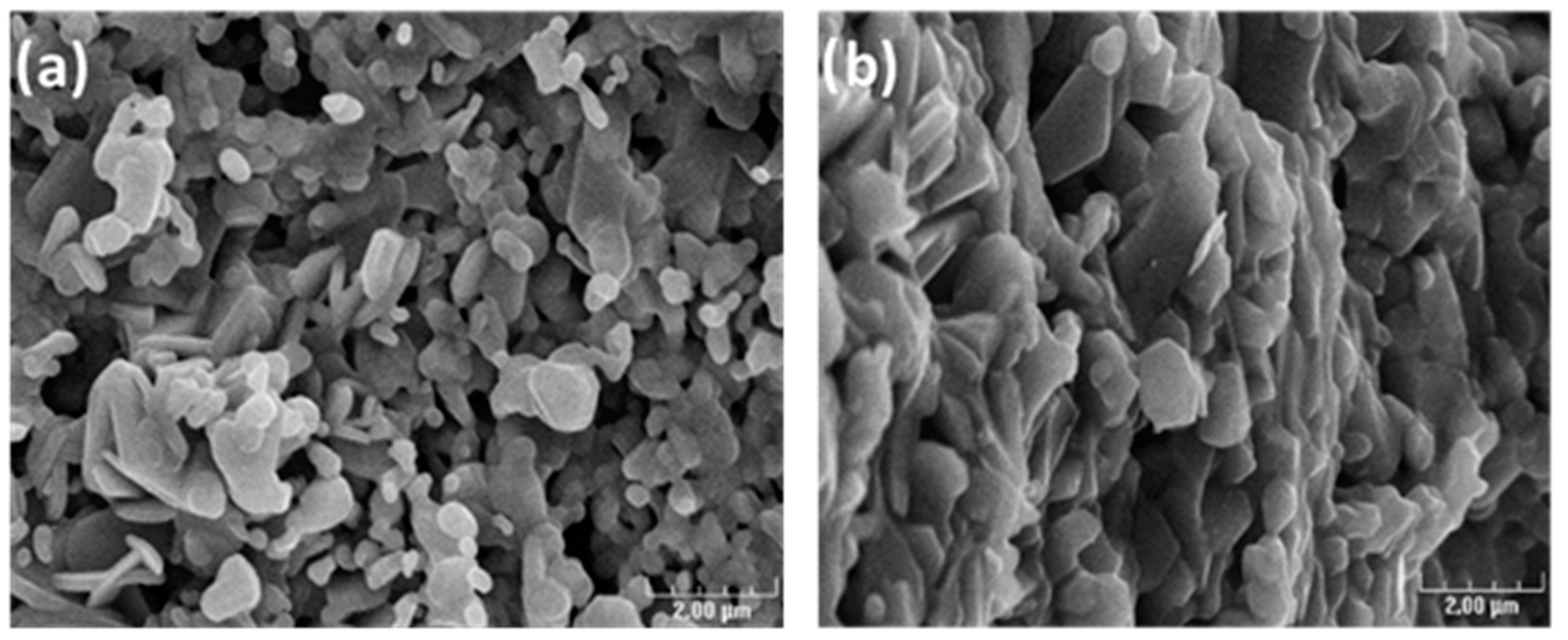 Magnetochemistry 09 00030 g004 Magnetochemistry 09 00030 g004