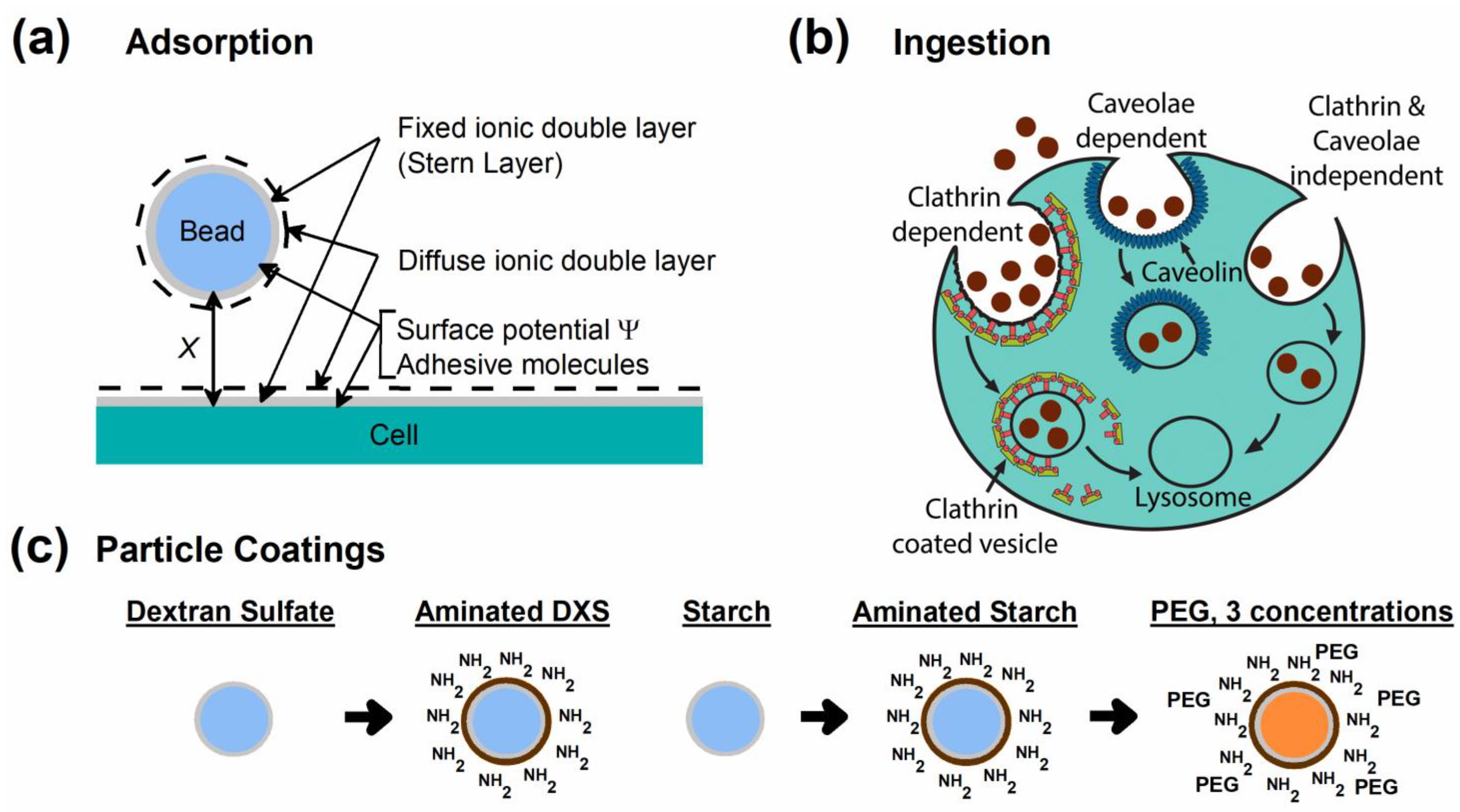 Magnetochemistry 09 00037 g001 Magnetochemistry 09 00037 g001